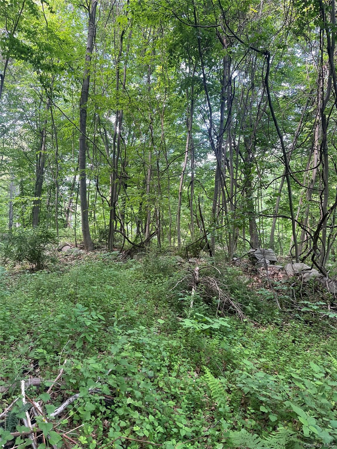 Old Church Road thumbnail 17
