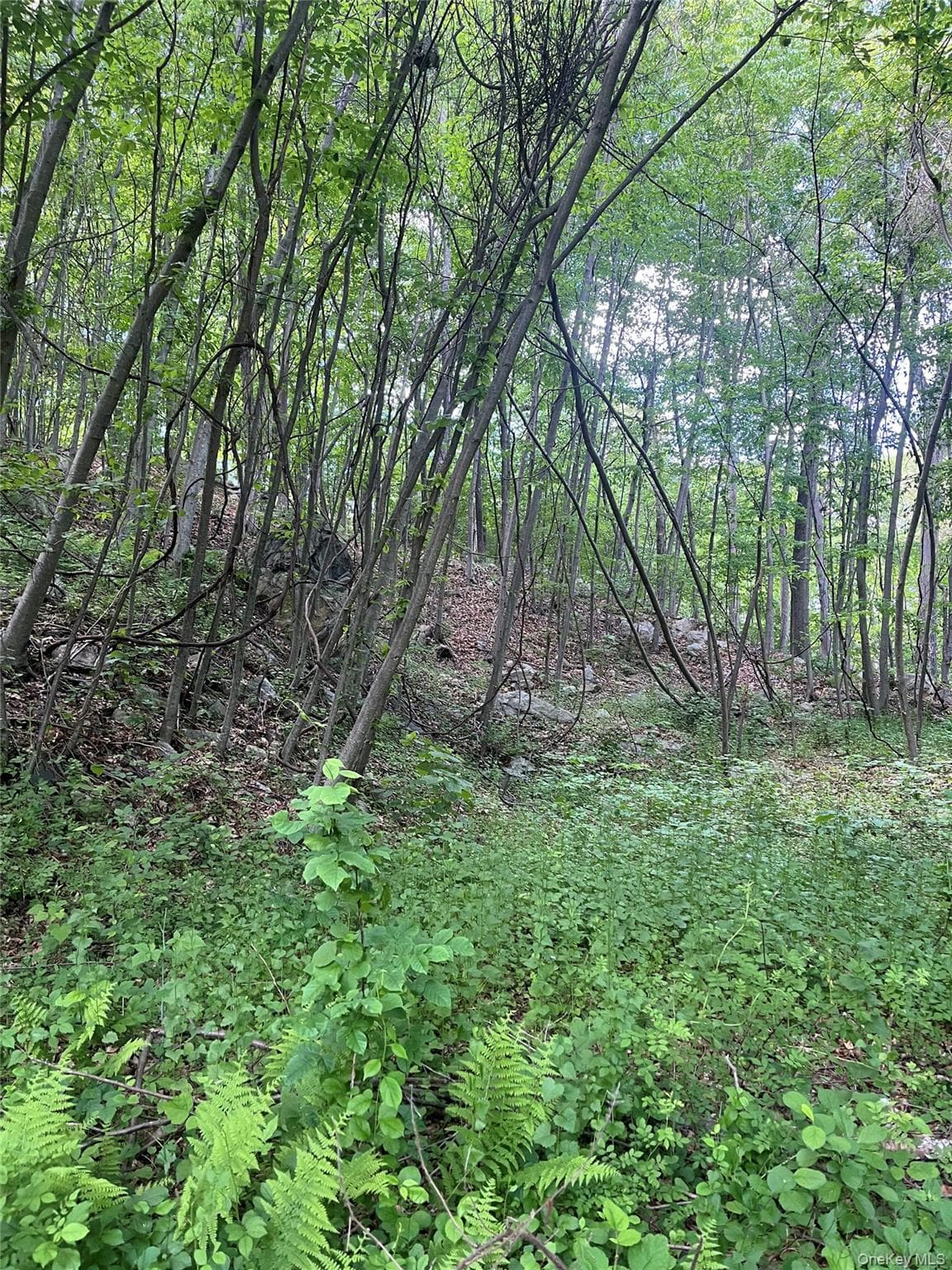 Old Church Road thumbnail 15