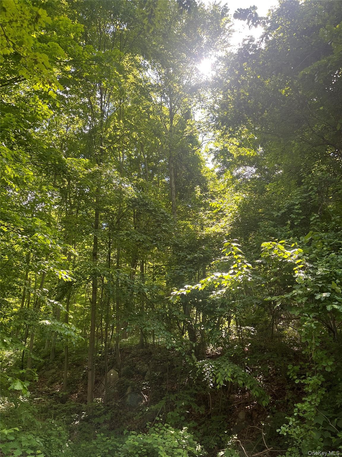Old Church Road thumbnail 26
