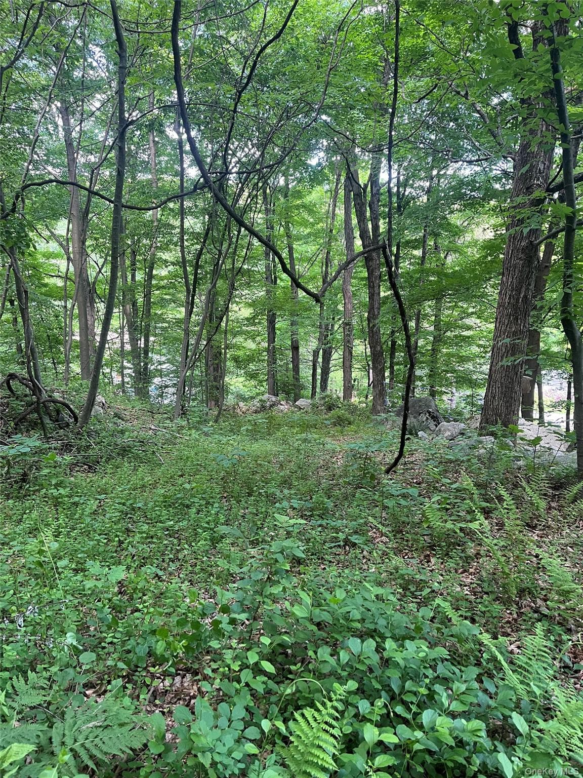 Old Church Road thumbnail 18