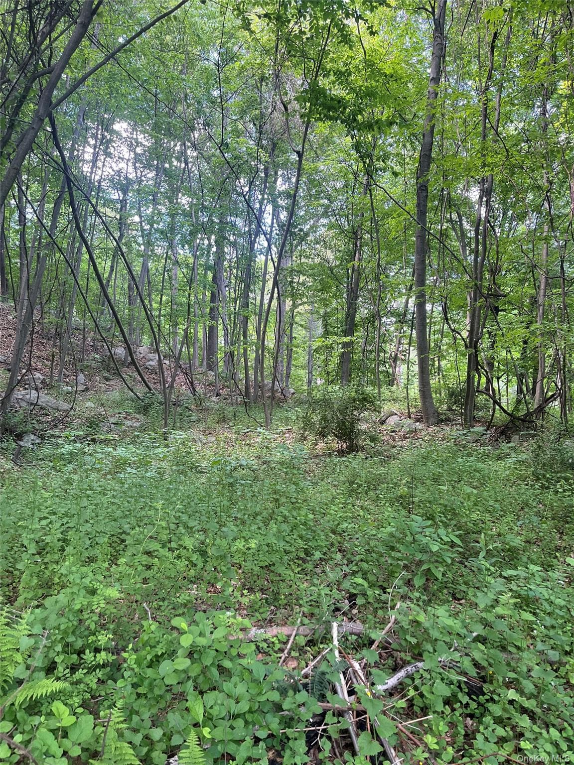 Old Church Road thumbnail 16