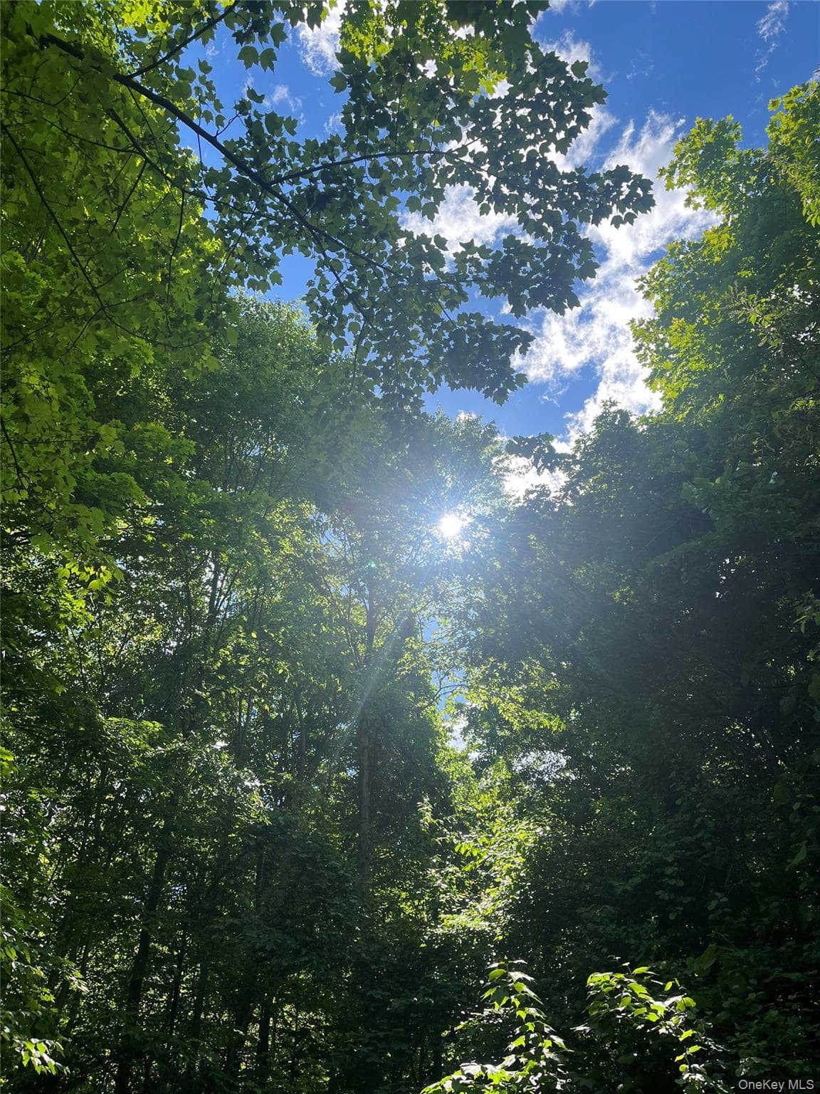 Old Church Road, Putnam Valley