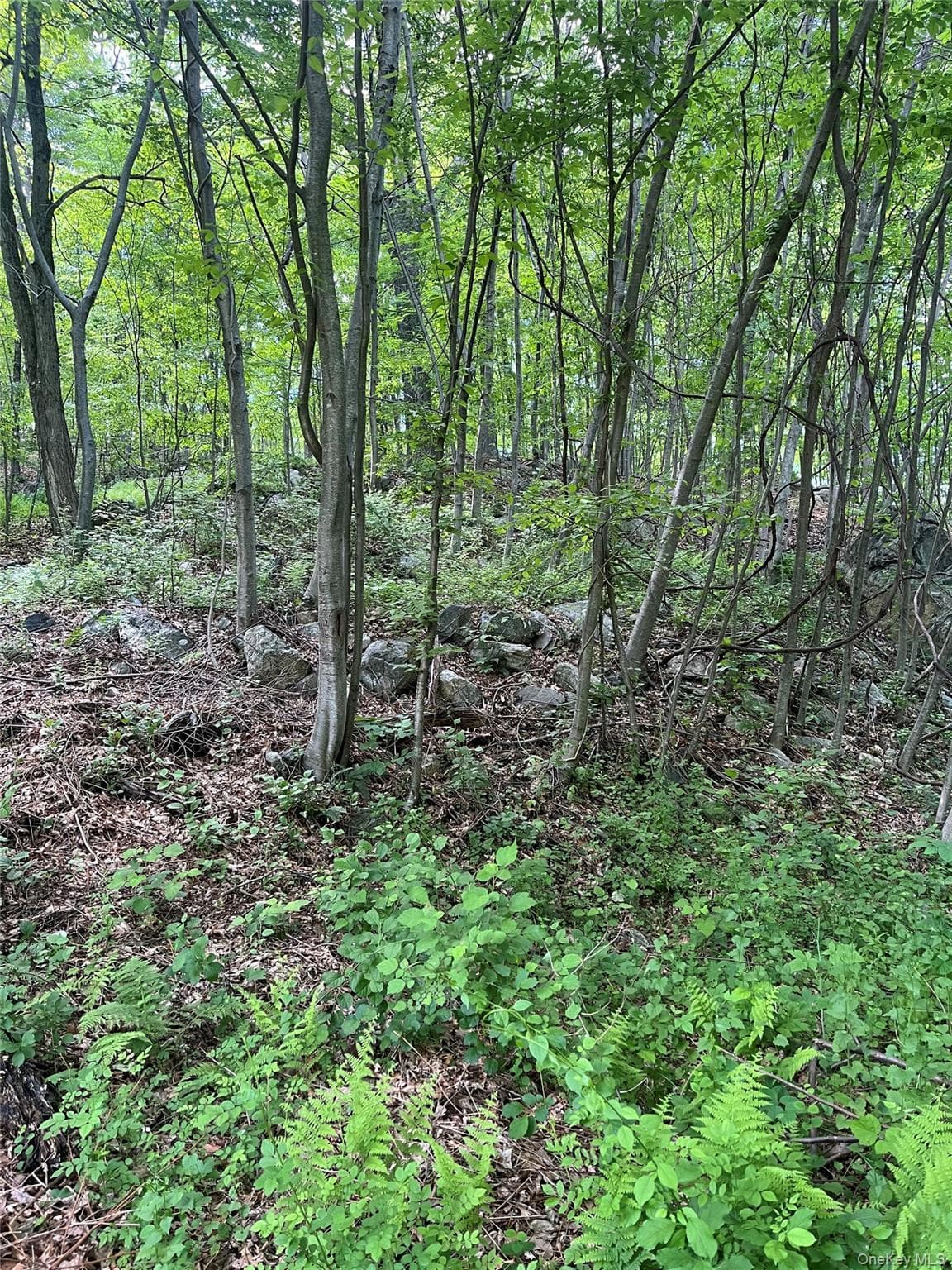 Old Church Road thumbnail 14