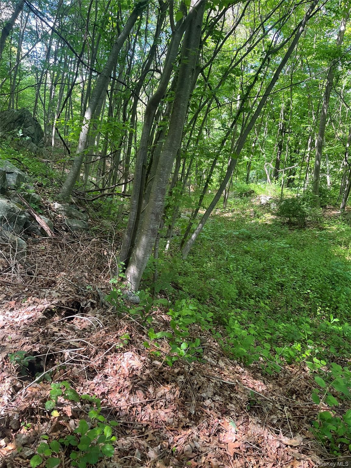 Old Church Road thumbnail 8