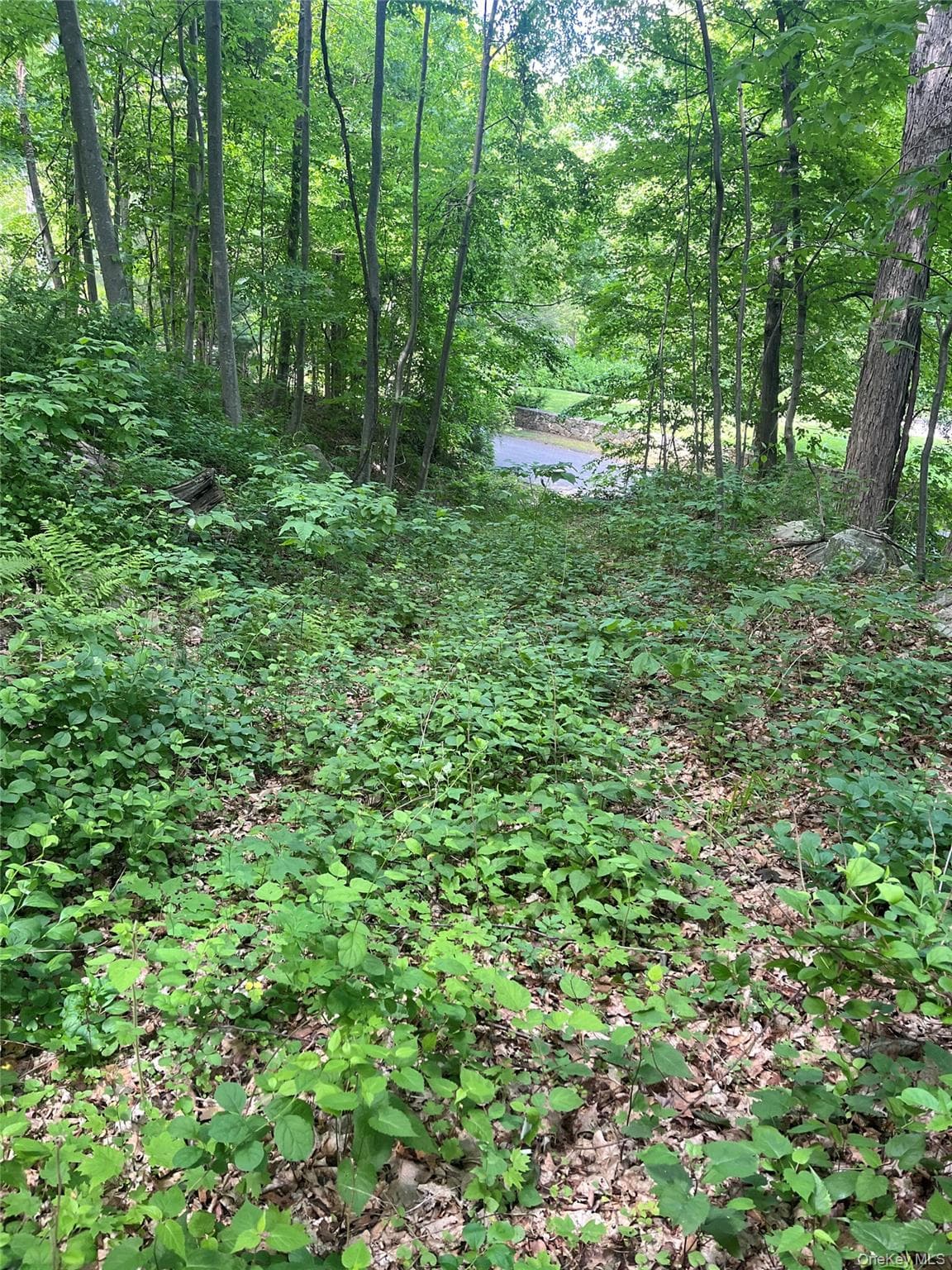 Old Church Road thumbnail 2
