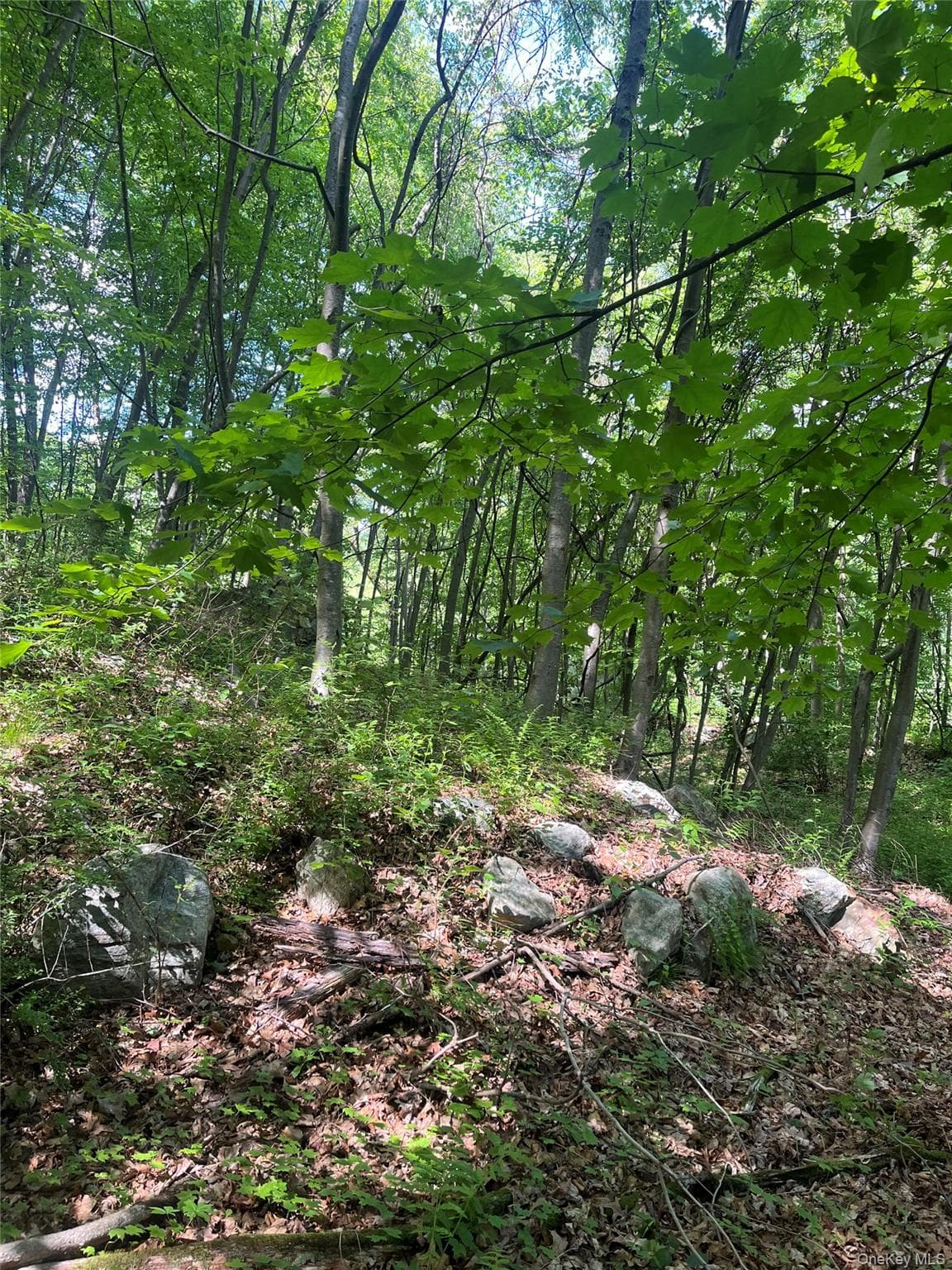 Old Church Road thumbnail 12