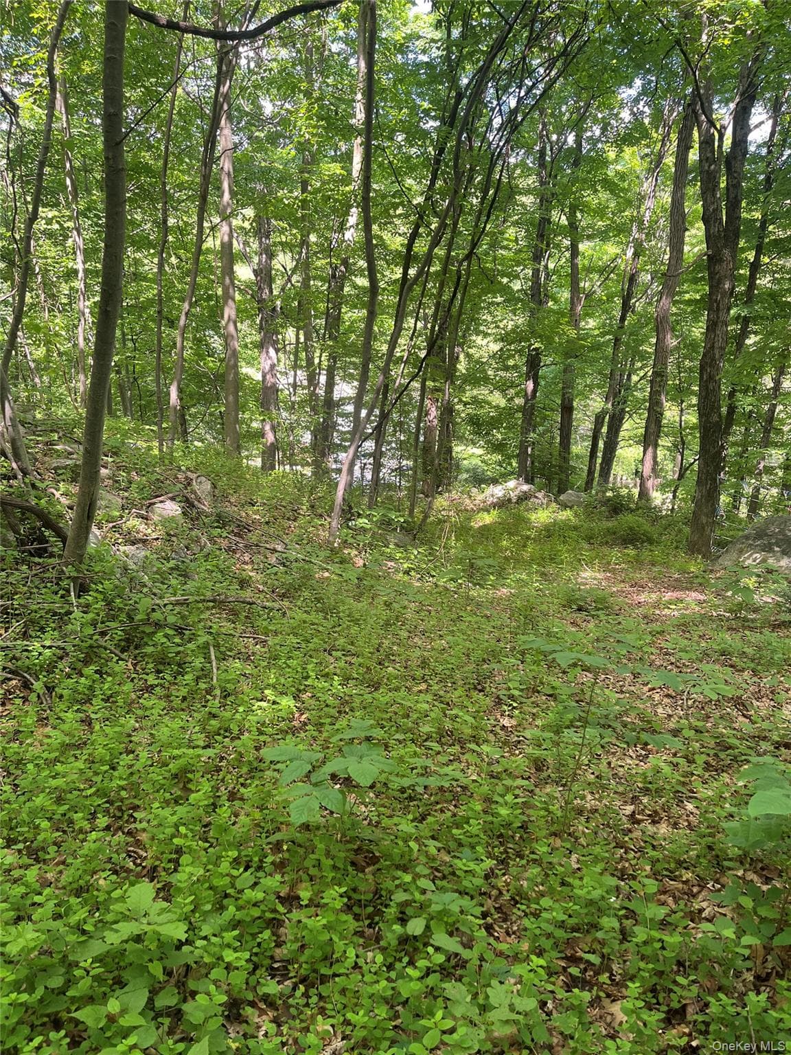 Old Church Road thumbnail 4