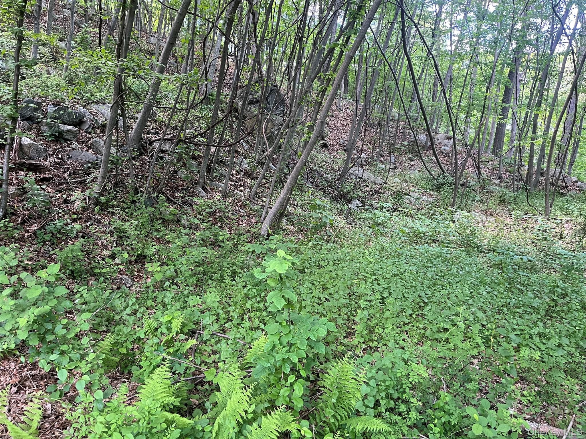 Old Church Road thumbnail 22
