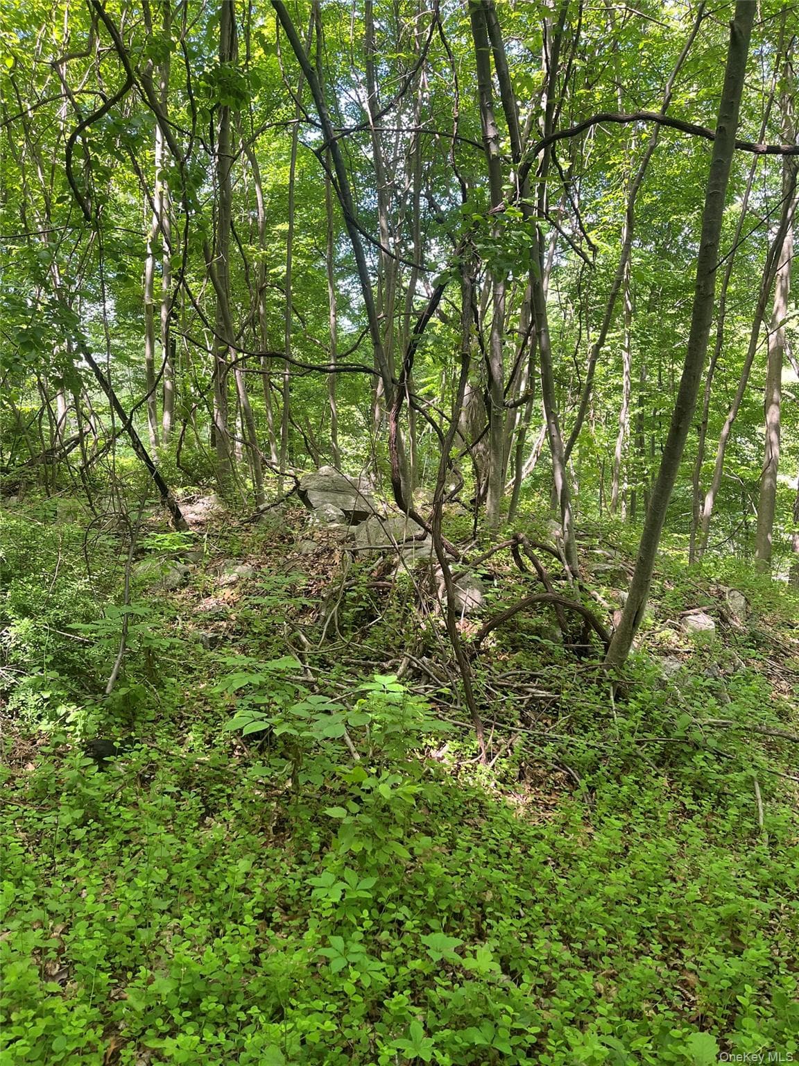 Old Church Road thumbnail 6