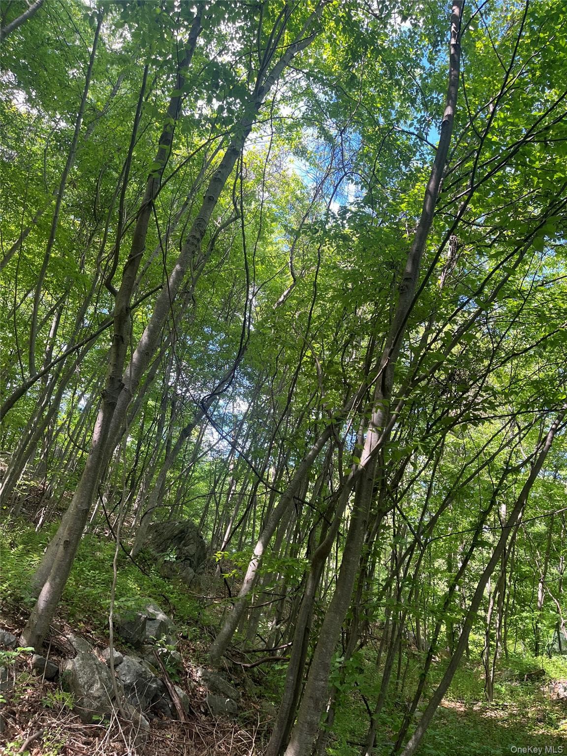 Old Church Road thumbnail 10