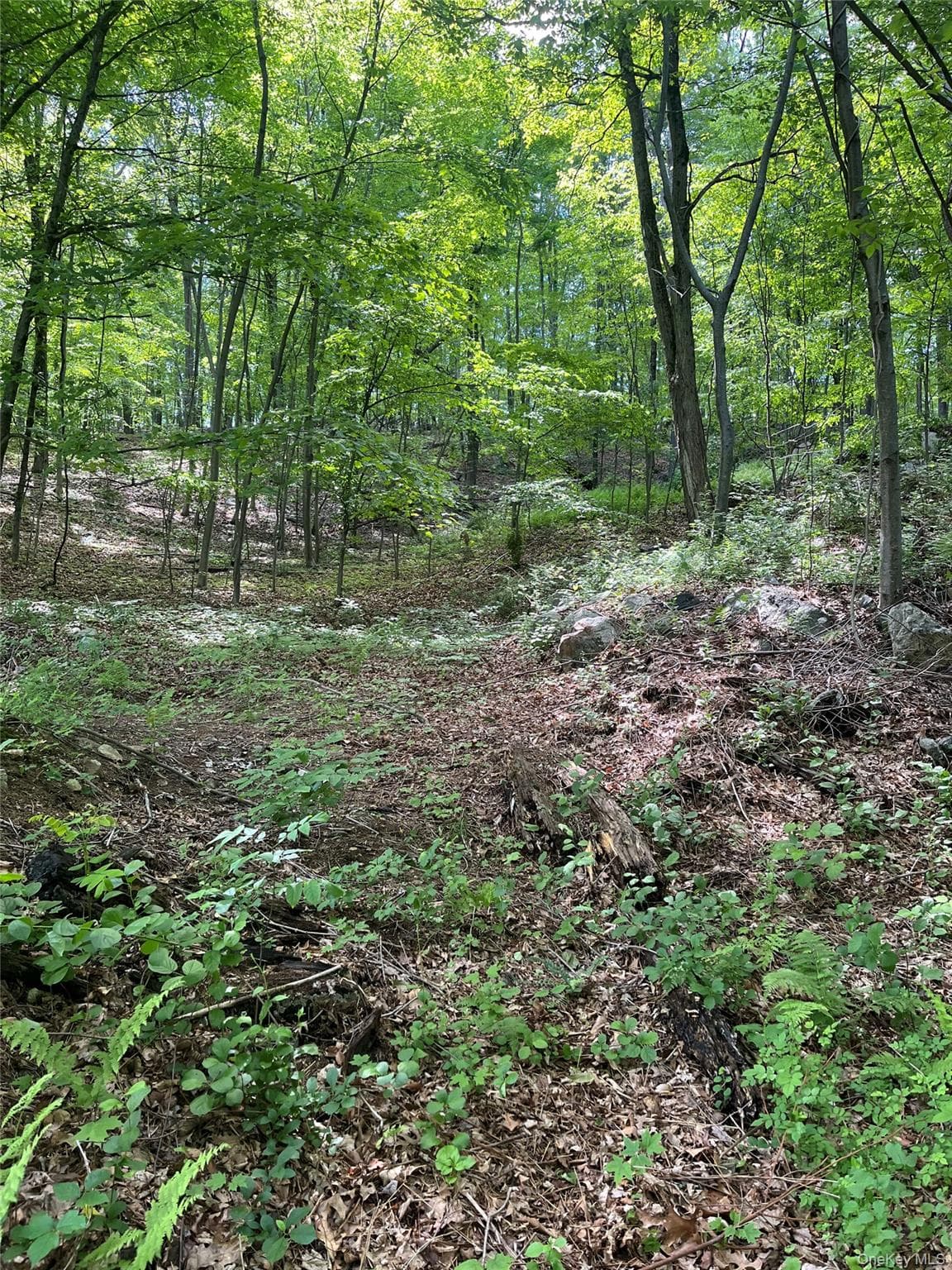 Old Church Road thumbnail 13
