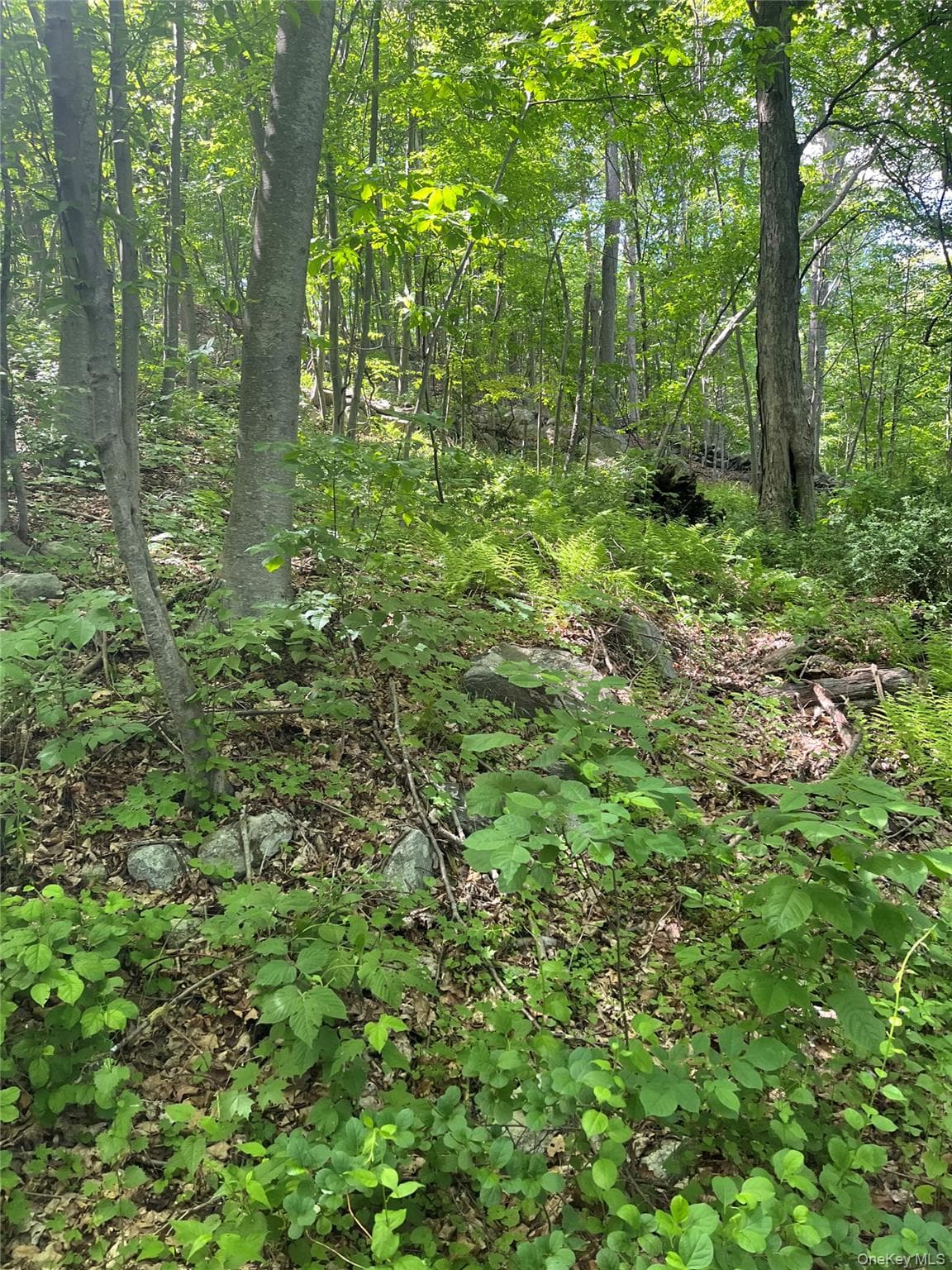 Old Church Road thumbnail 24