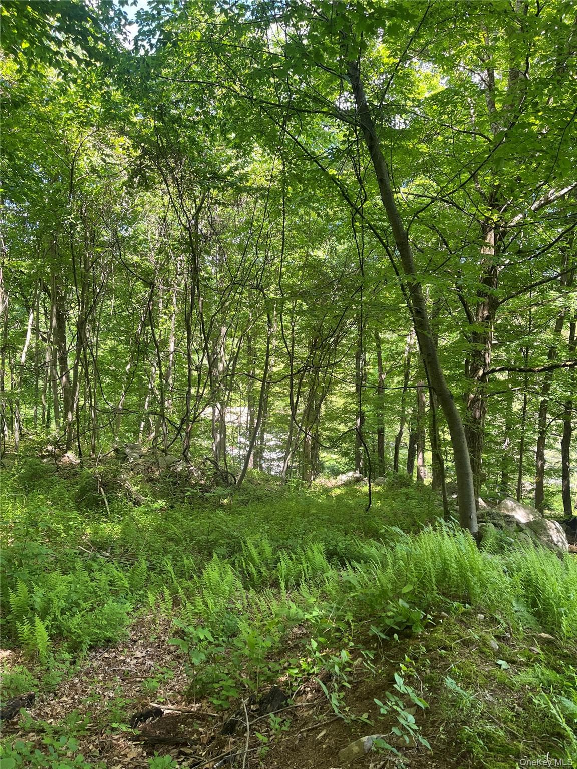 Old Church Road thumbnail 11