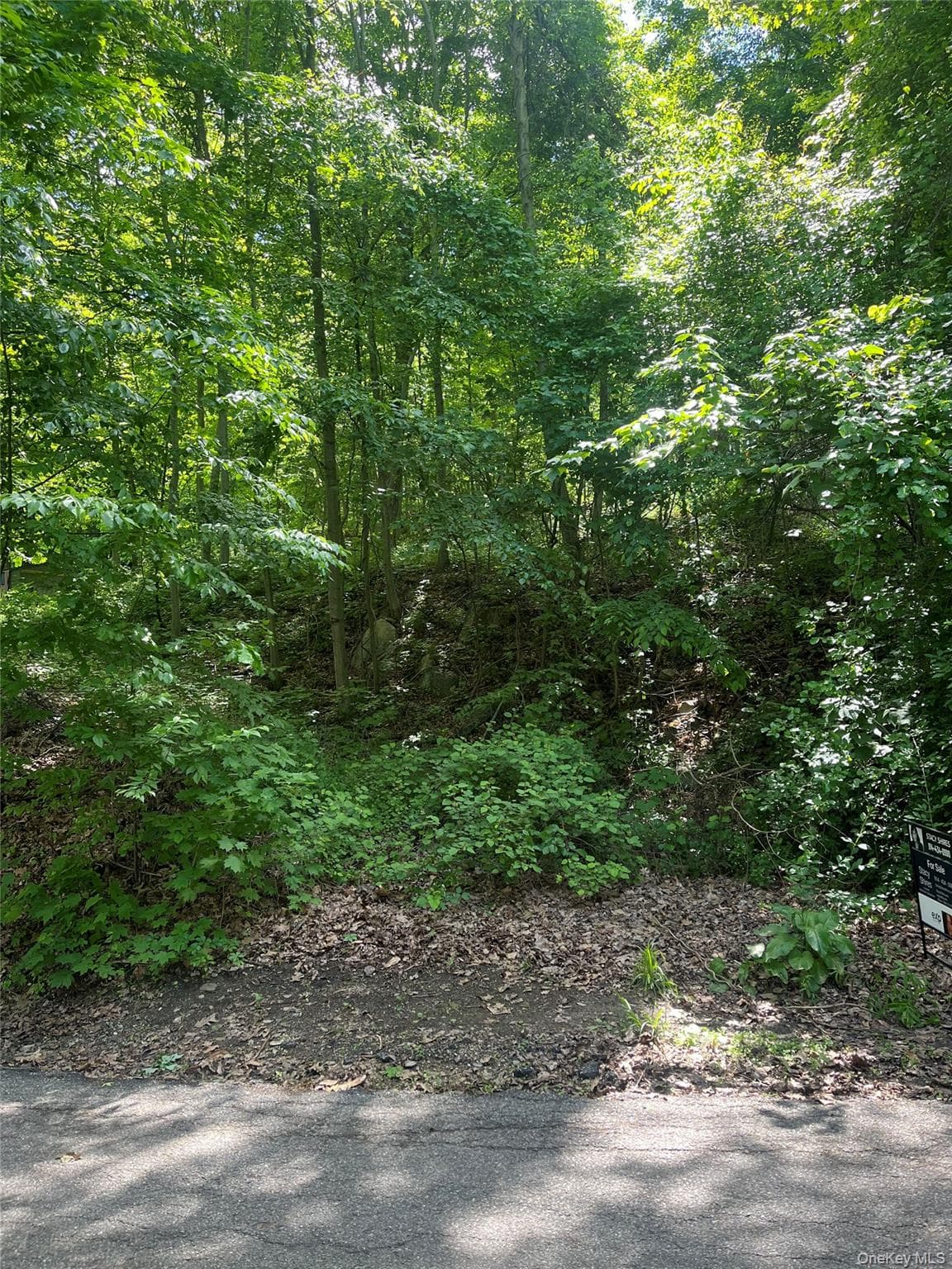 Old Church Road thumbnail 25