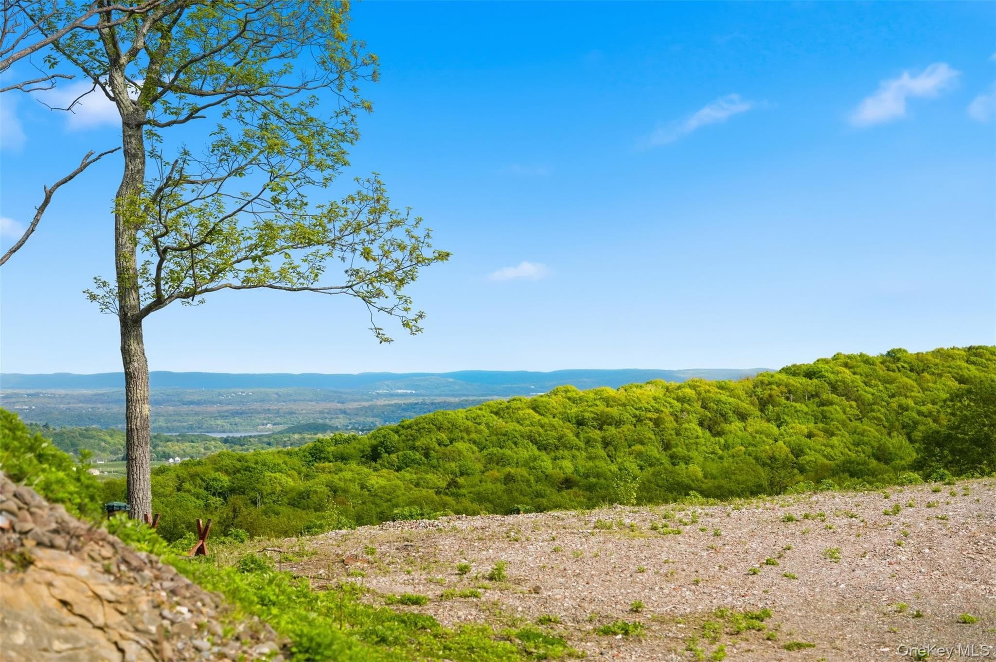 229 Mount Zion Road thumbnail 19