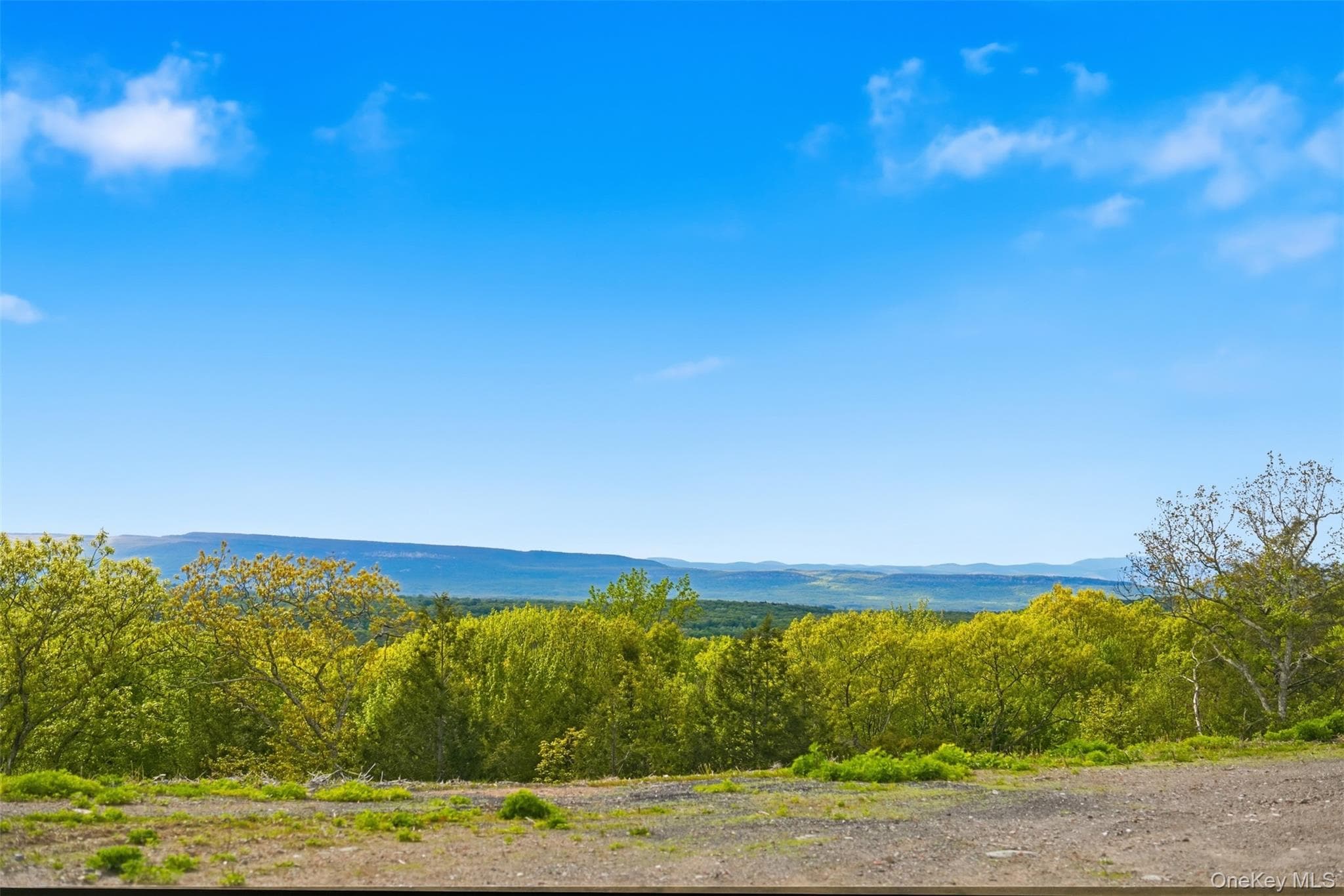 229 Mount Zion Road thumbnail 21