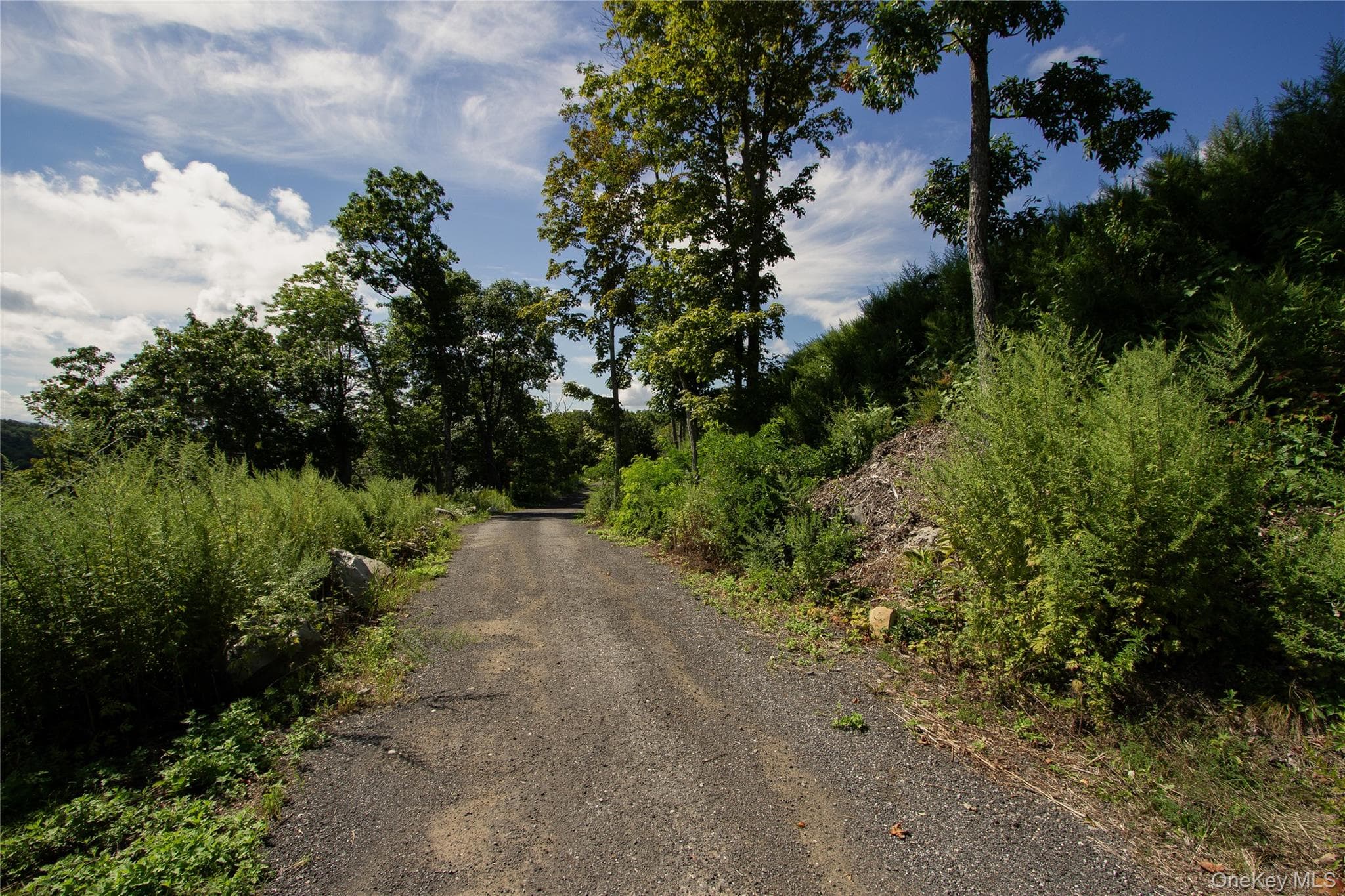229 Mount Zion Road thumbnail 12