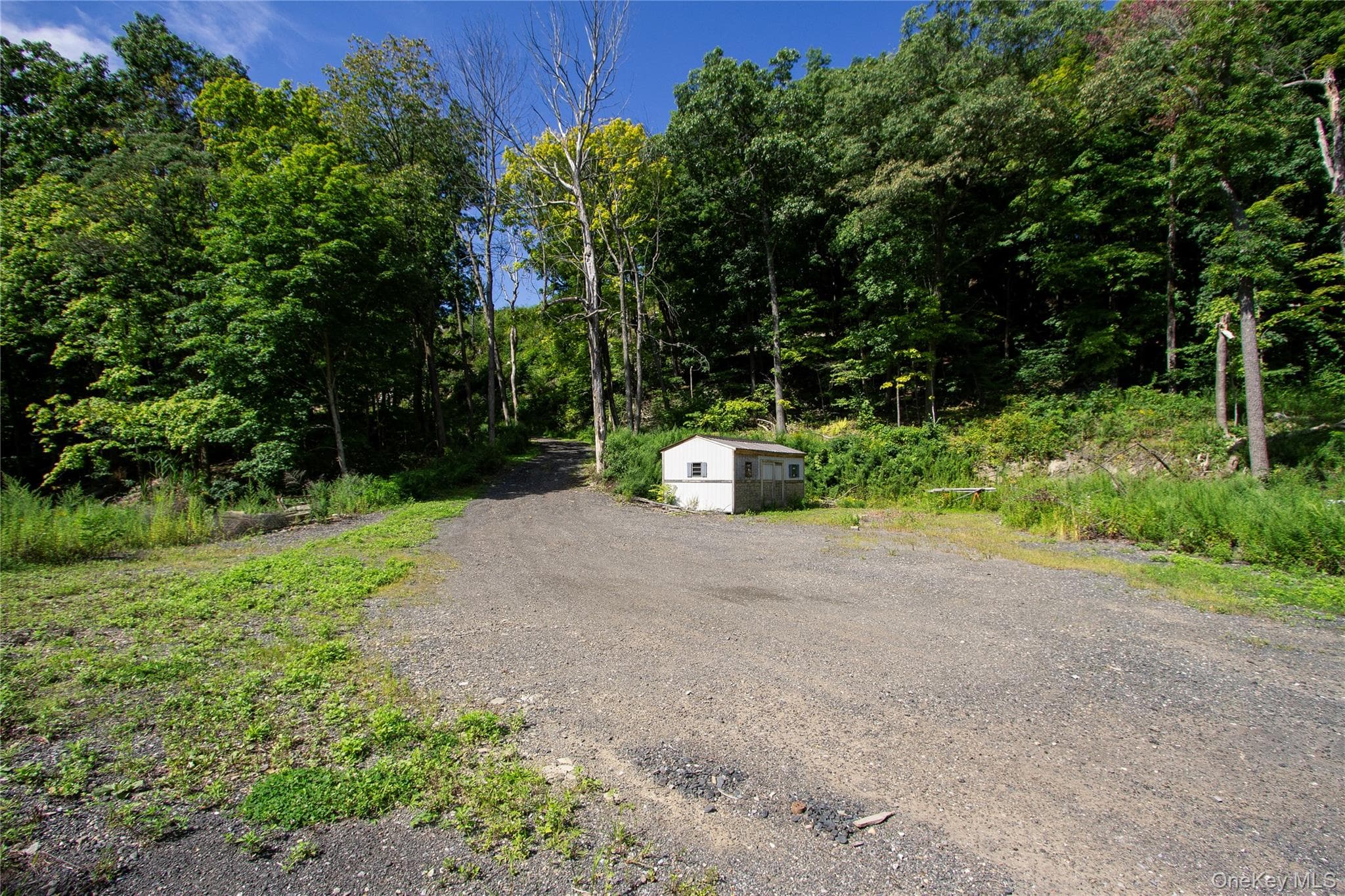 229 Mount Zion Road thumbnail 4