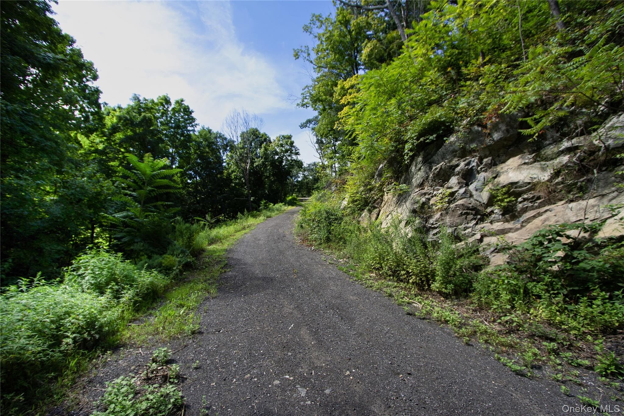 229 Mount Zion Road thumbnail 9