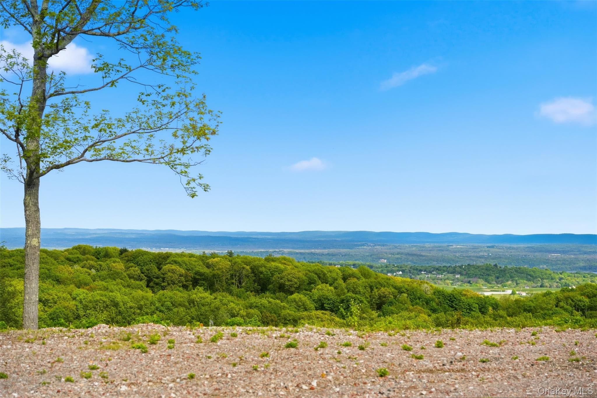 229 Mount Zion Road thumbnail 20