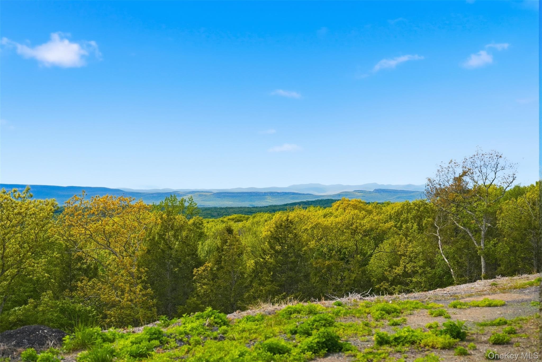229 Mount Zion Road thumbnail 22