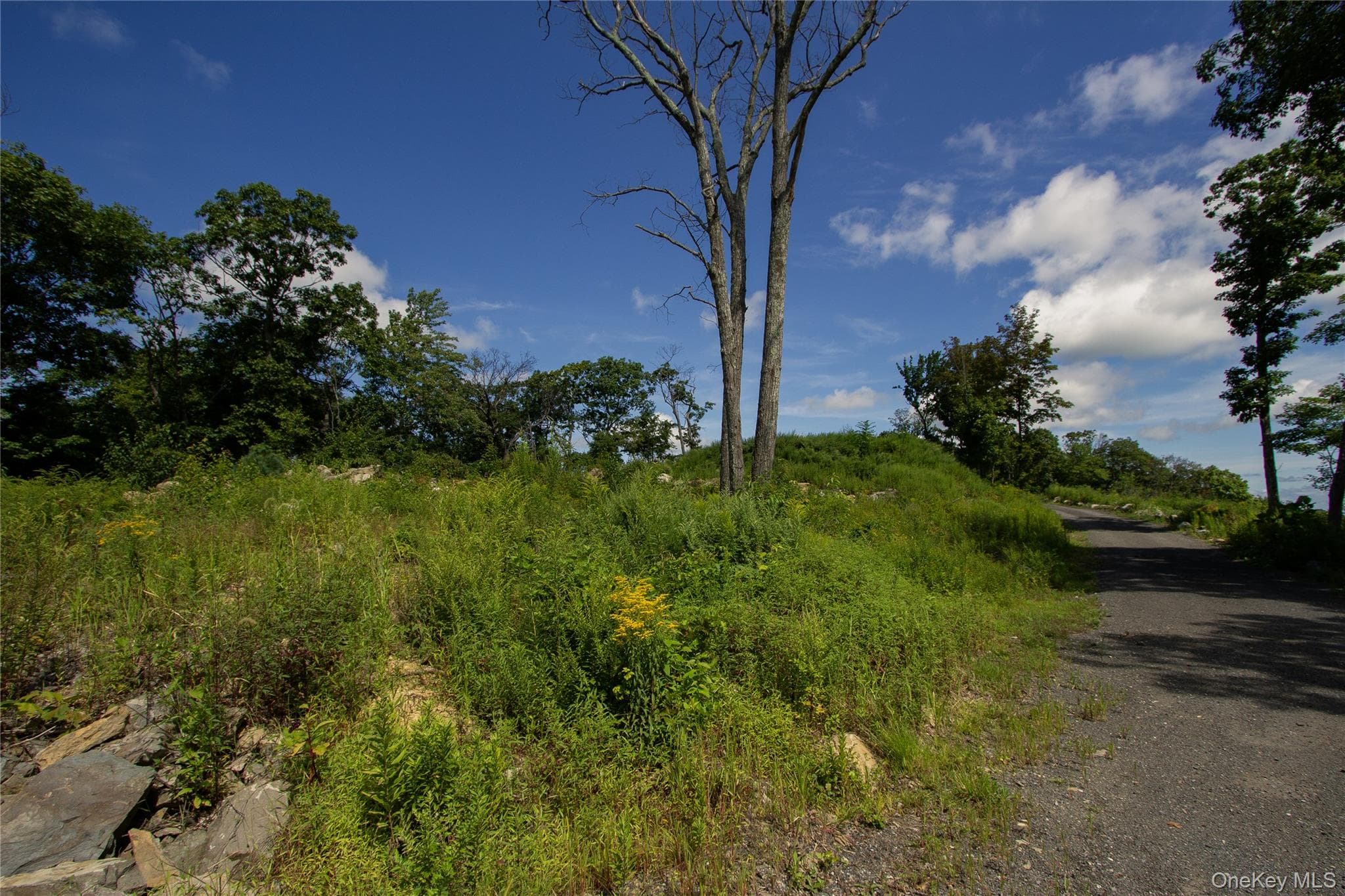 229 Mount Zion Road thumbnail 11