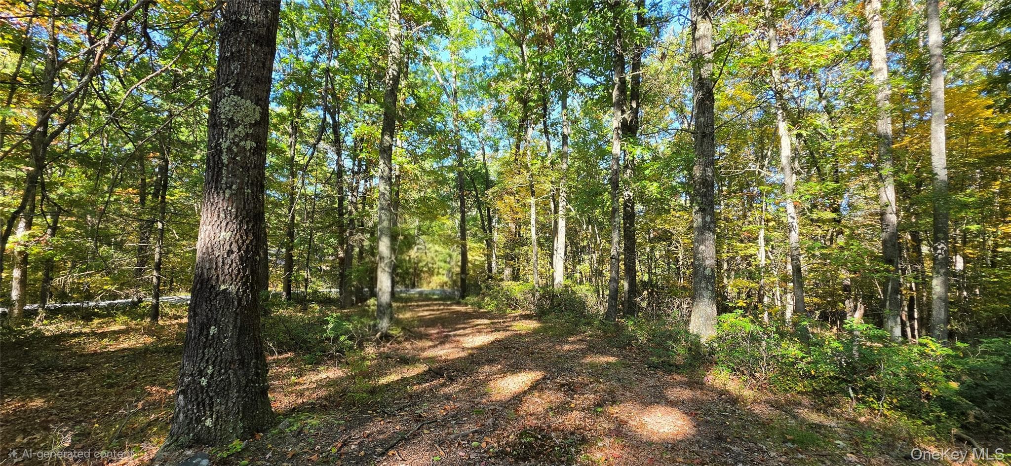 Lot #86 Perry Pond Road thumbnail 8