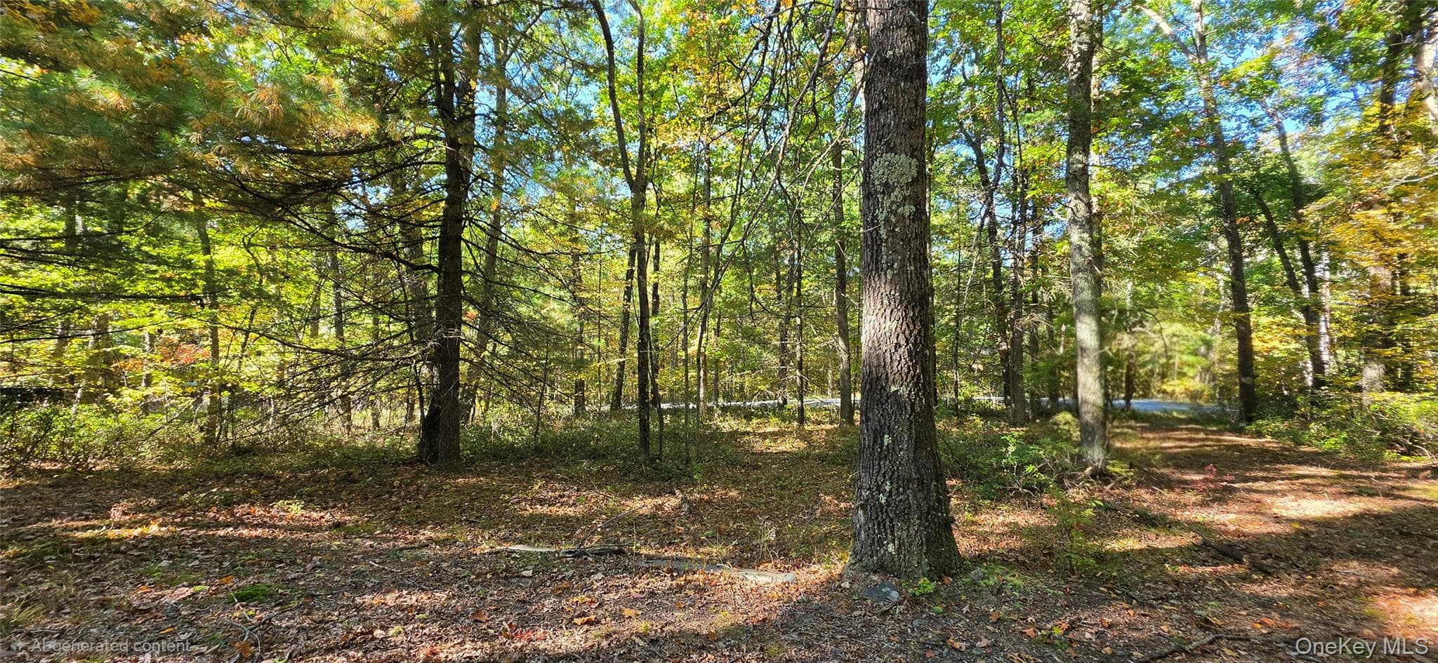 Lot #86 Perry Pond Road thumbnail 7