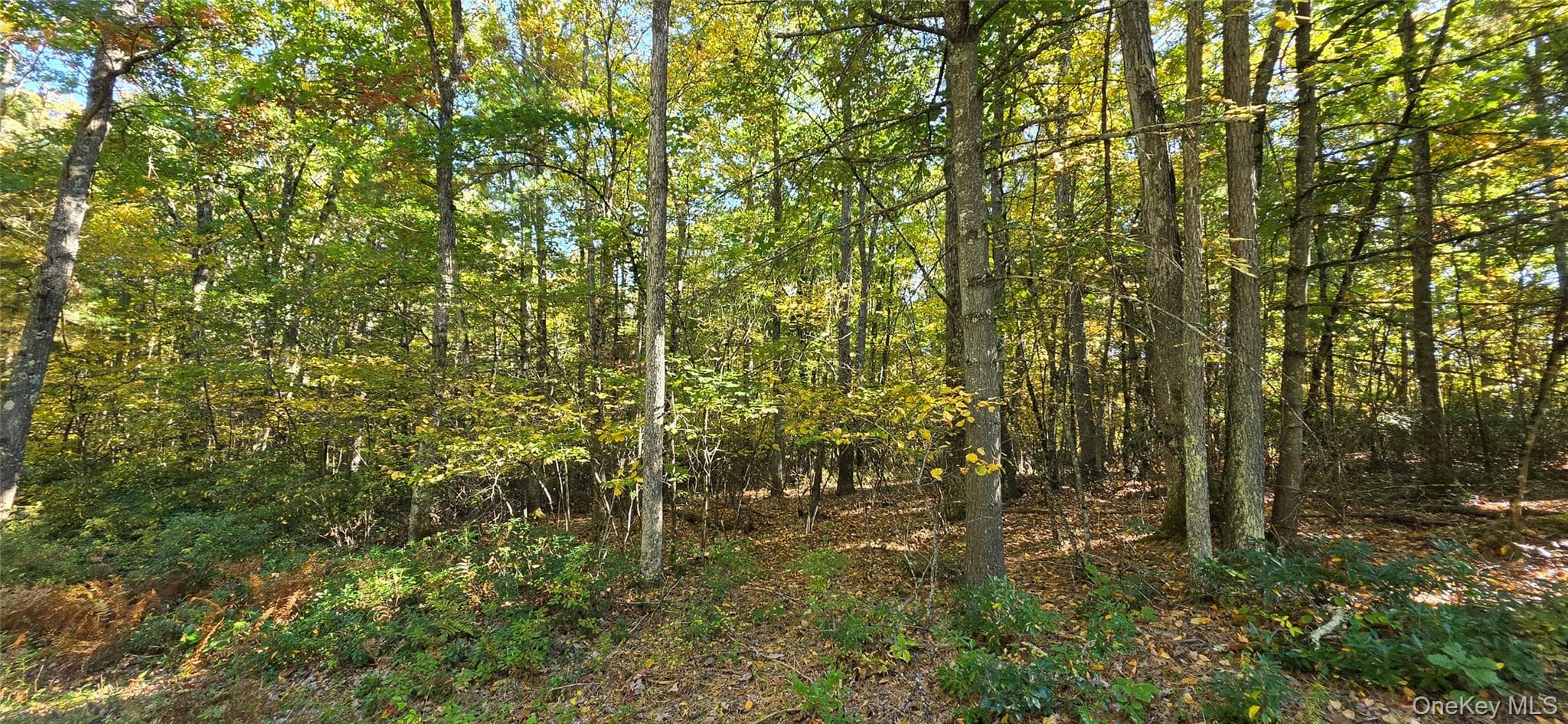 Lot #86 Perry Pond Road thumbnail 10
