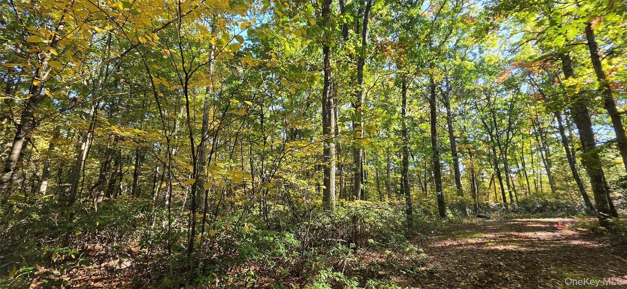 Lot #86 Perry Pond Road thumbnail 4