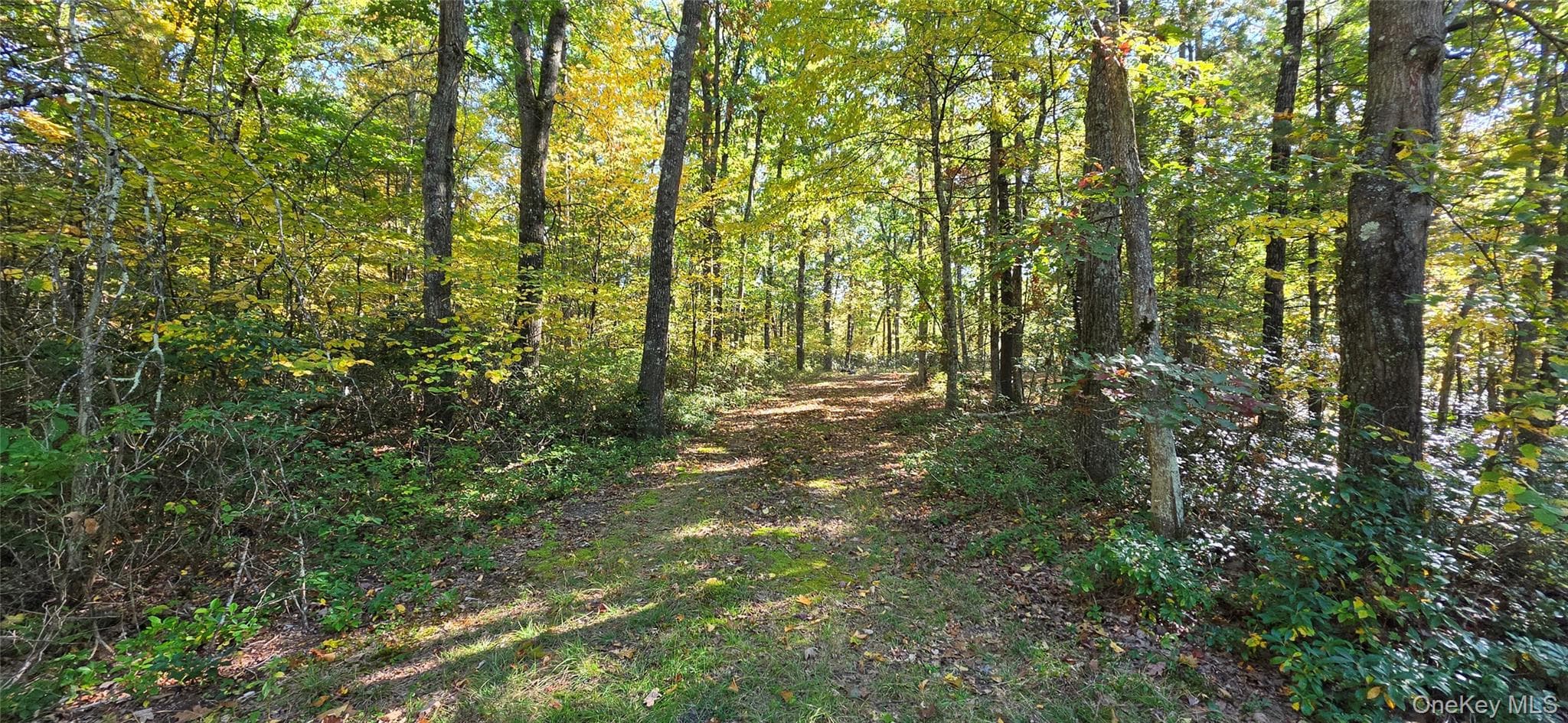 Lot #86 Perry Pond Road, Narrowsburg