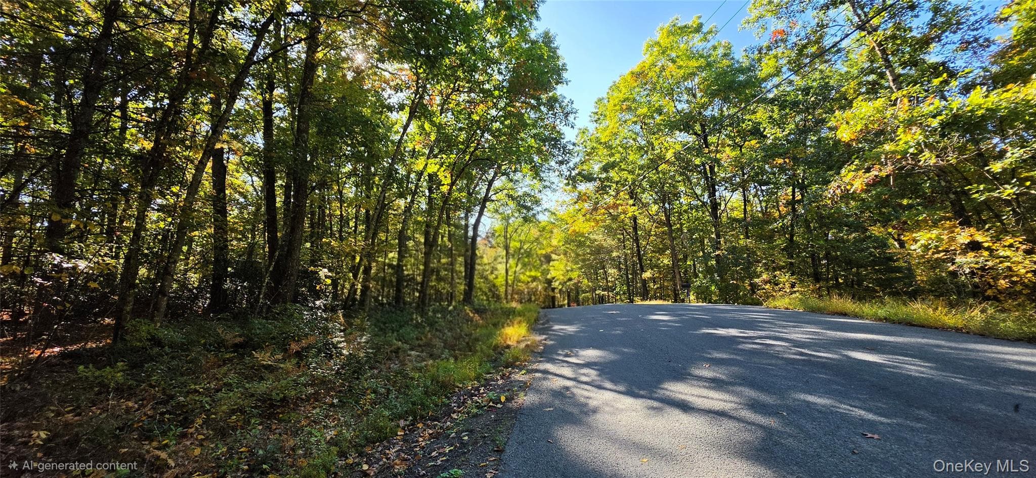 Lot #86 Perry Pond Road thumbnail 11