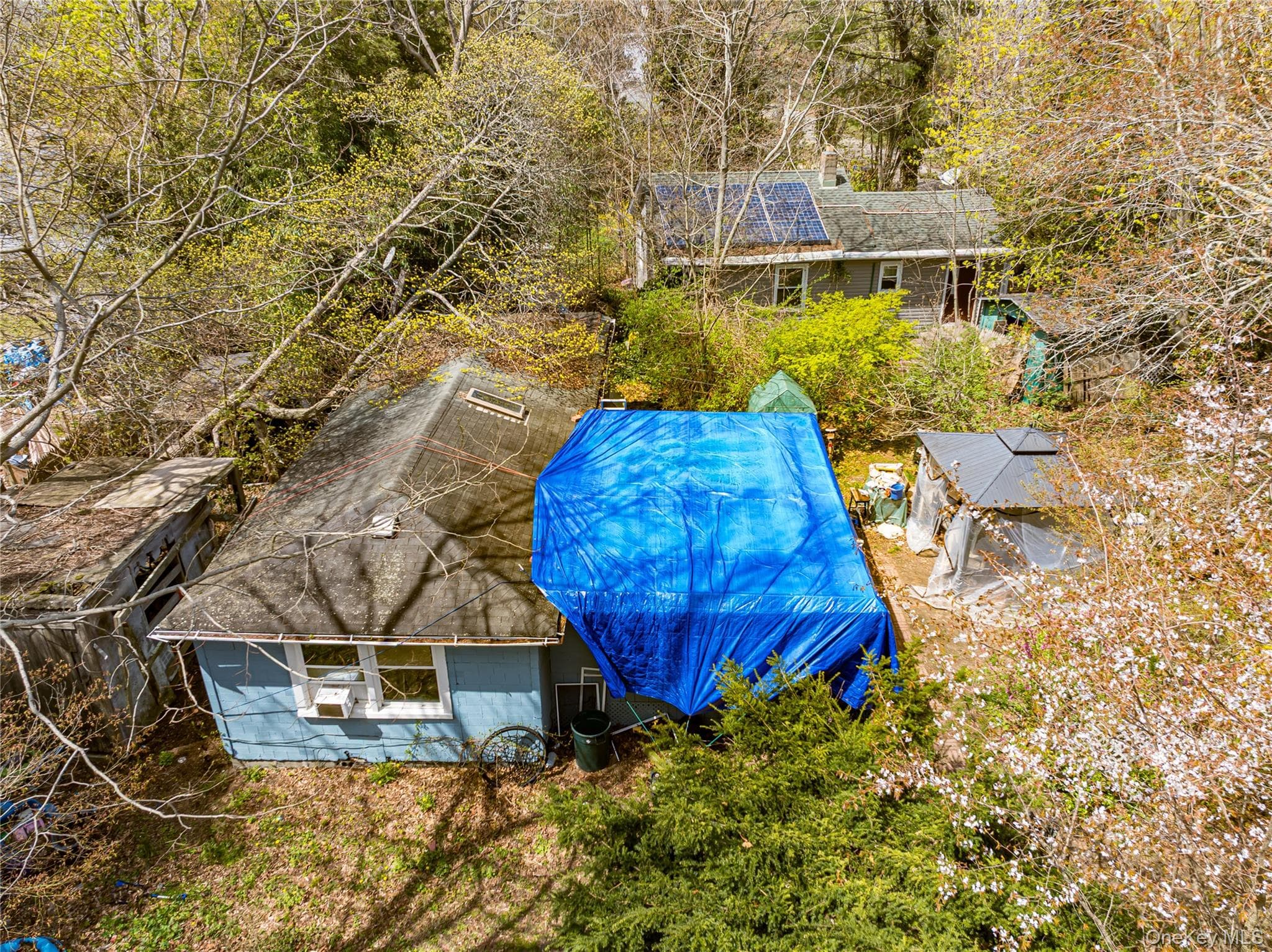 33 Locust Avenue Unit: 33 & 29 thumbnail 11