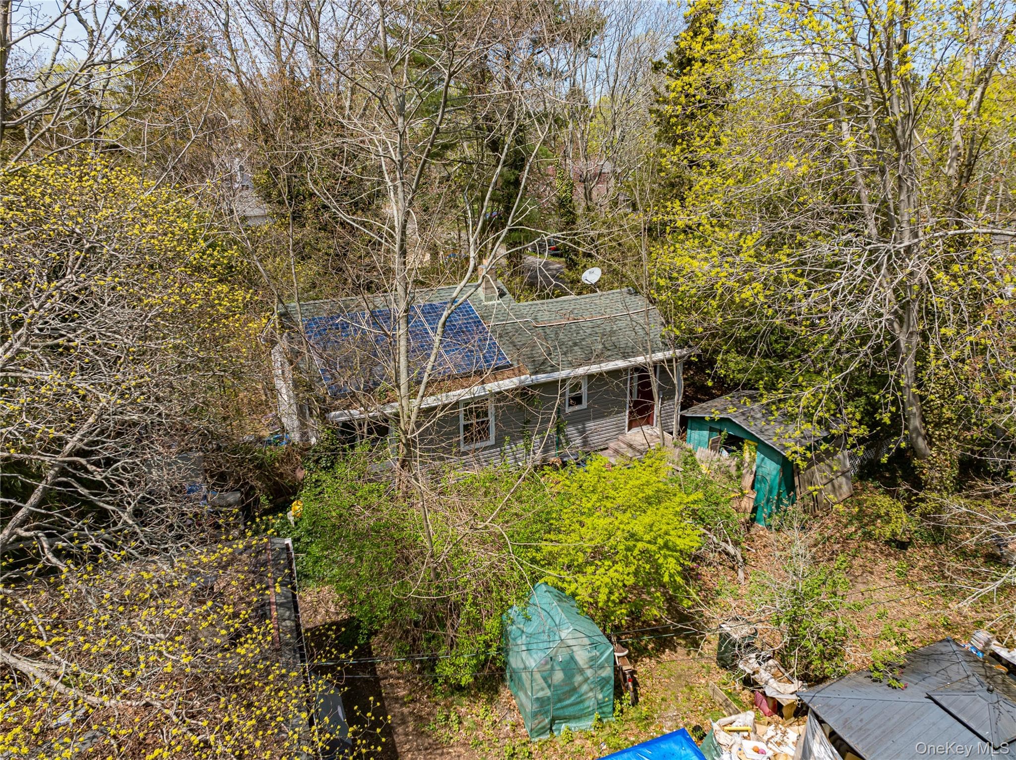 33 Locust Avenue Unit: 33 & 29 thumbnail 6