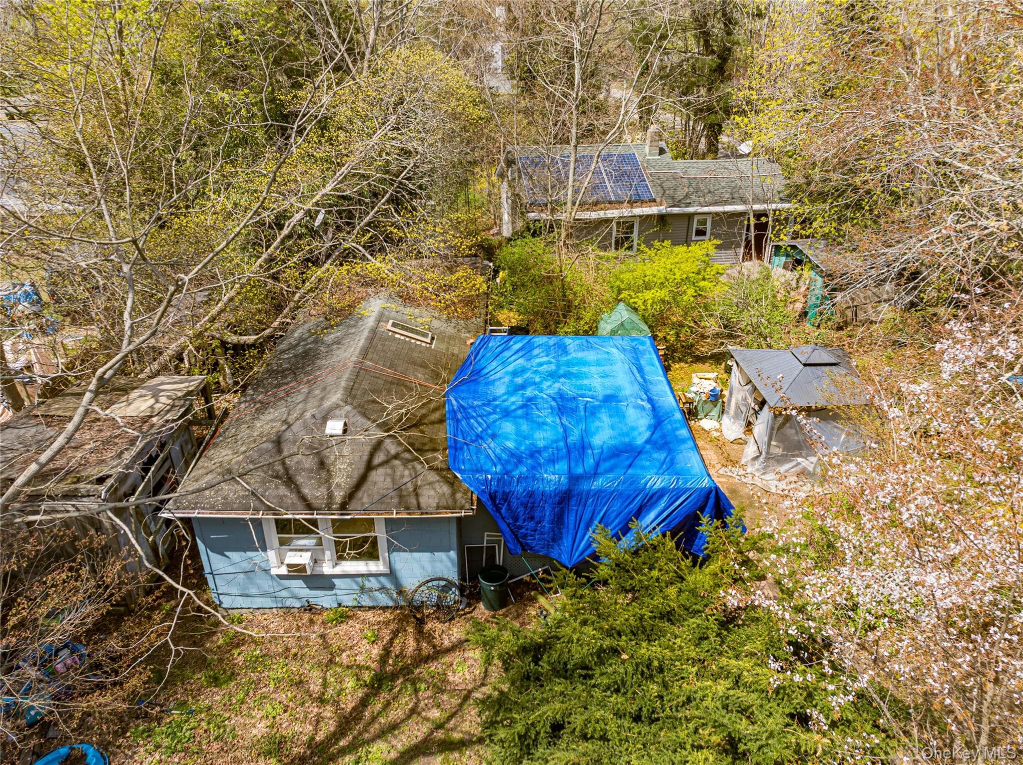33 Locust Avenue Unit: 33 & 29 thumbnail 5