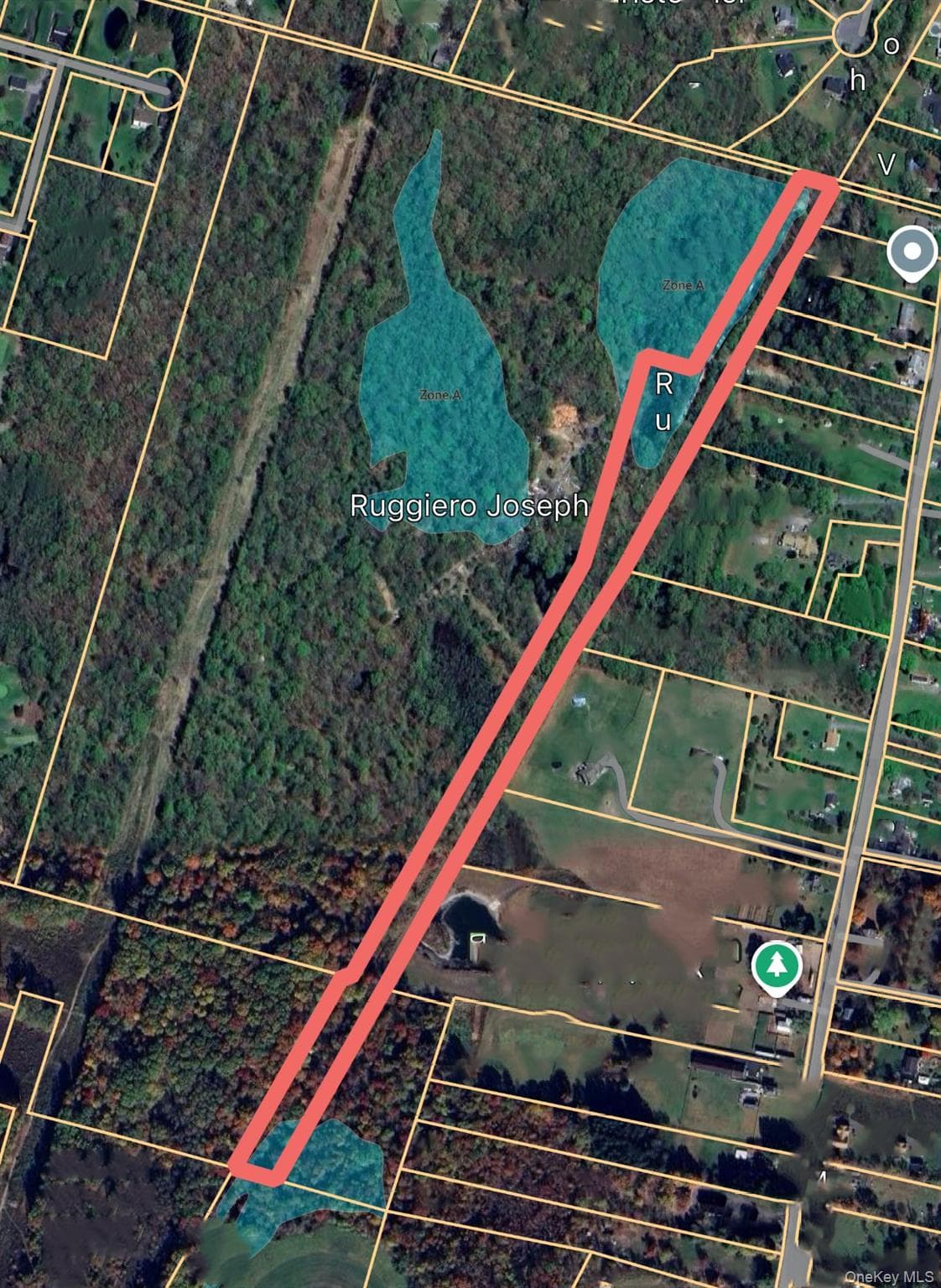 183 Plains Road thumbnail 5