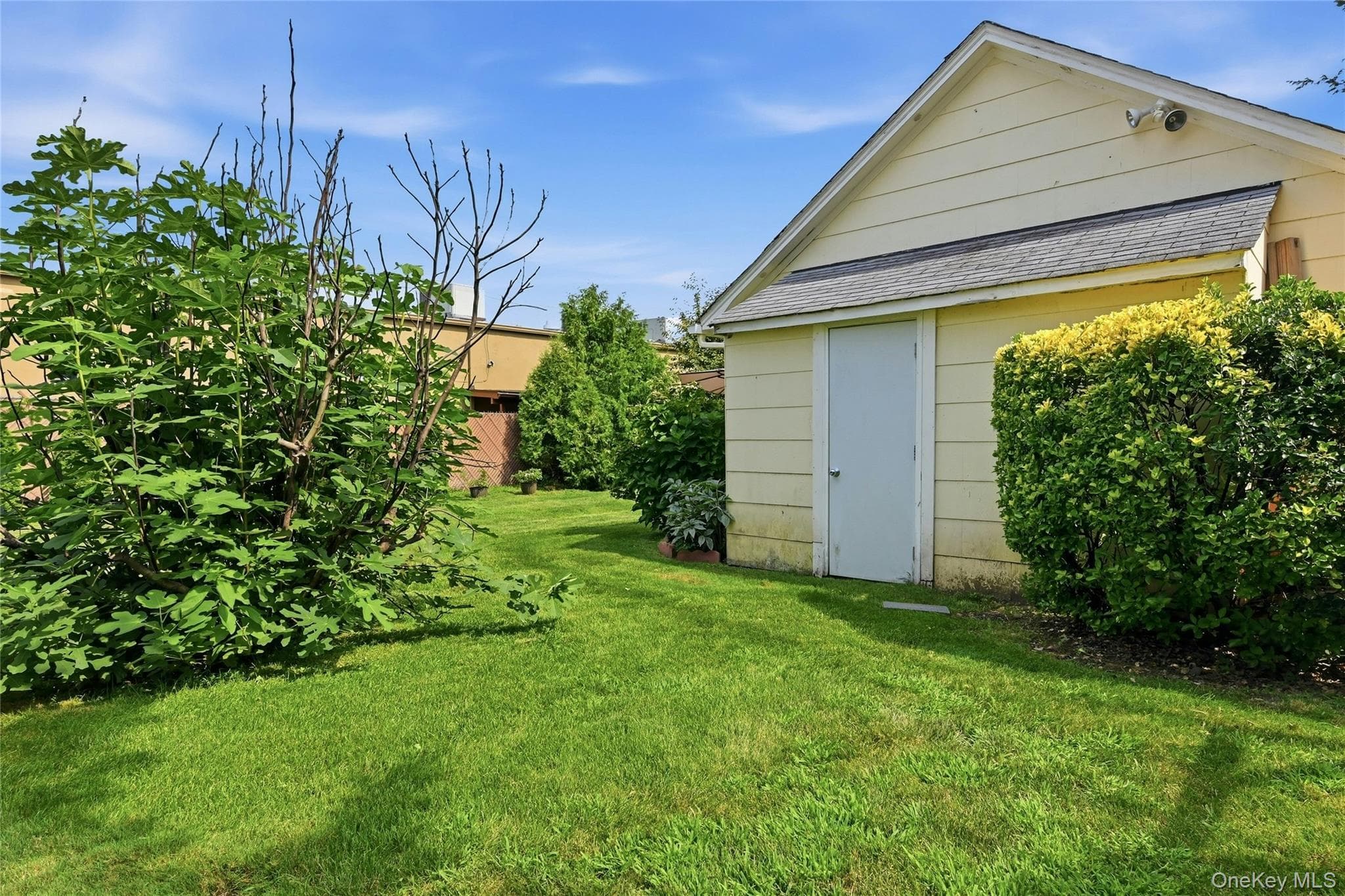 148 Canterbury Road thumbnail 16