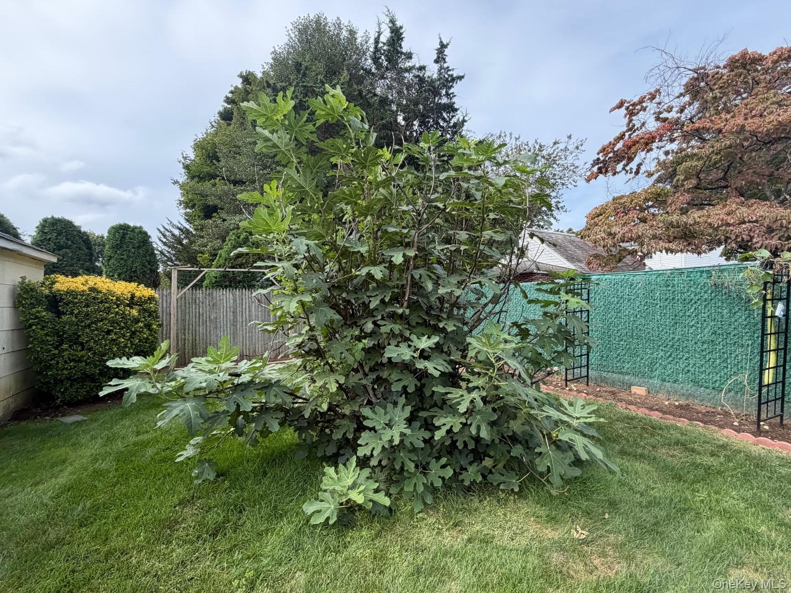 148 Canterbury Road thumbnail 34