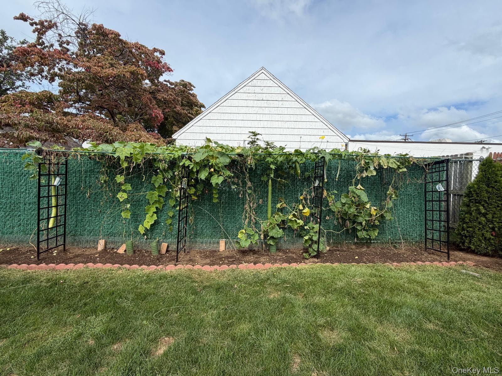 148 Canterbury Road thumbnail 30