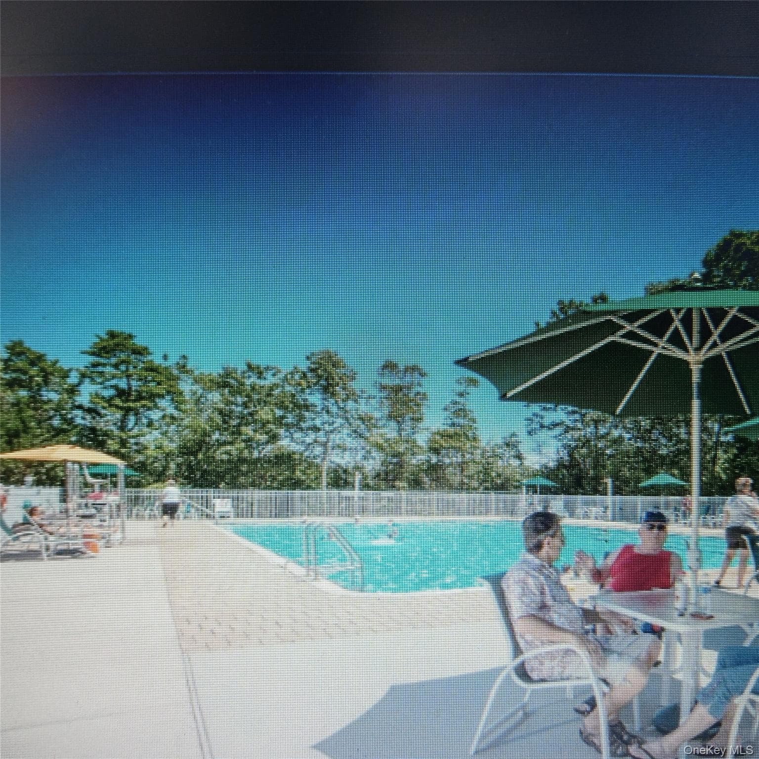 1661 Old Country Road Unit: 539 thumbnail 26