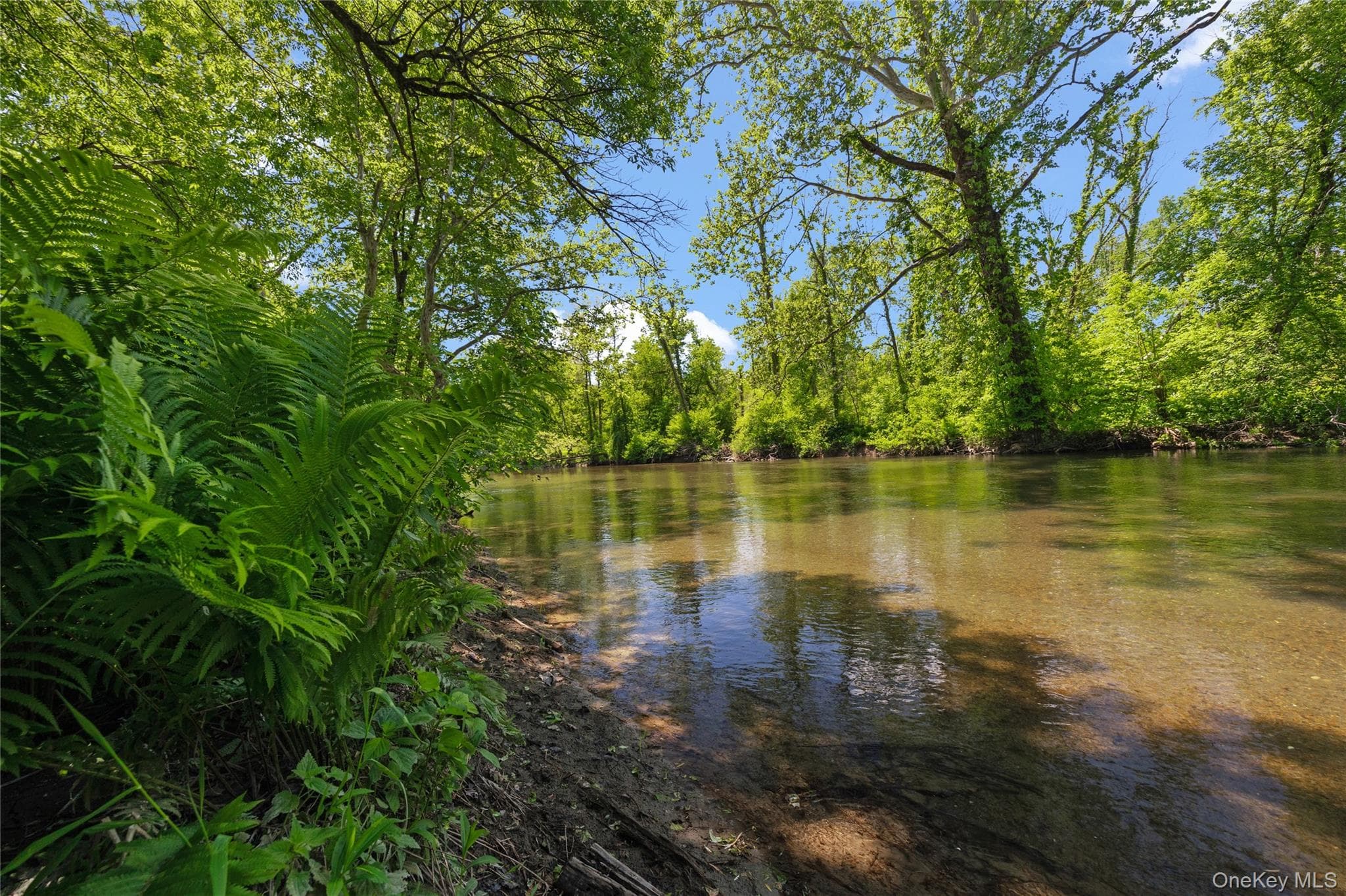 202 Buckwheat Bridge Rd thumbnail 4