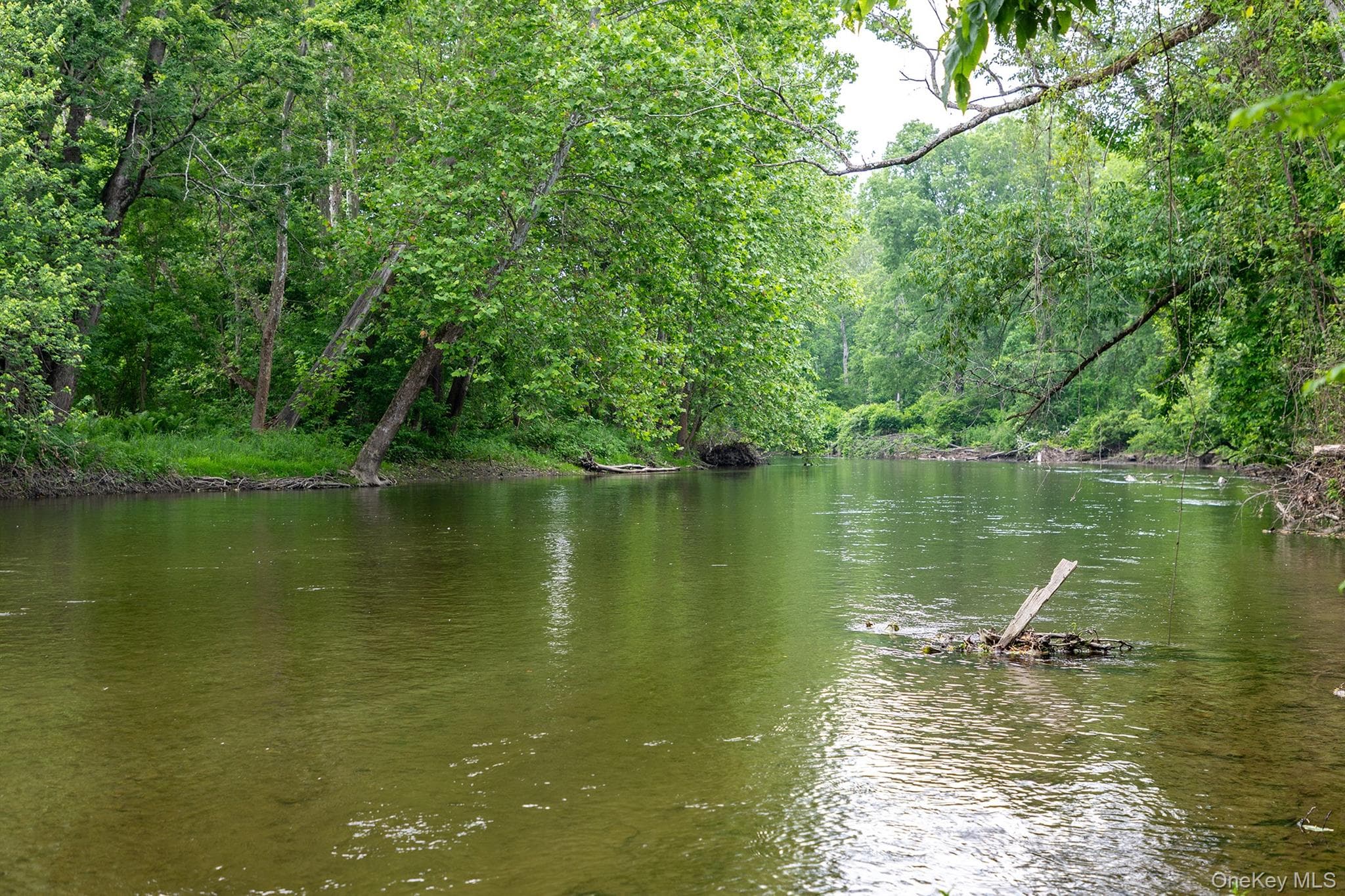 202 Buckwheat Bridge Rd thumbnail 46