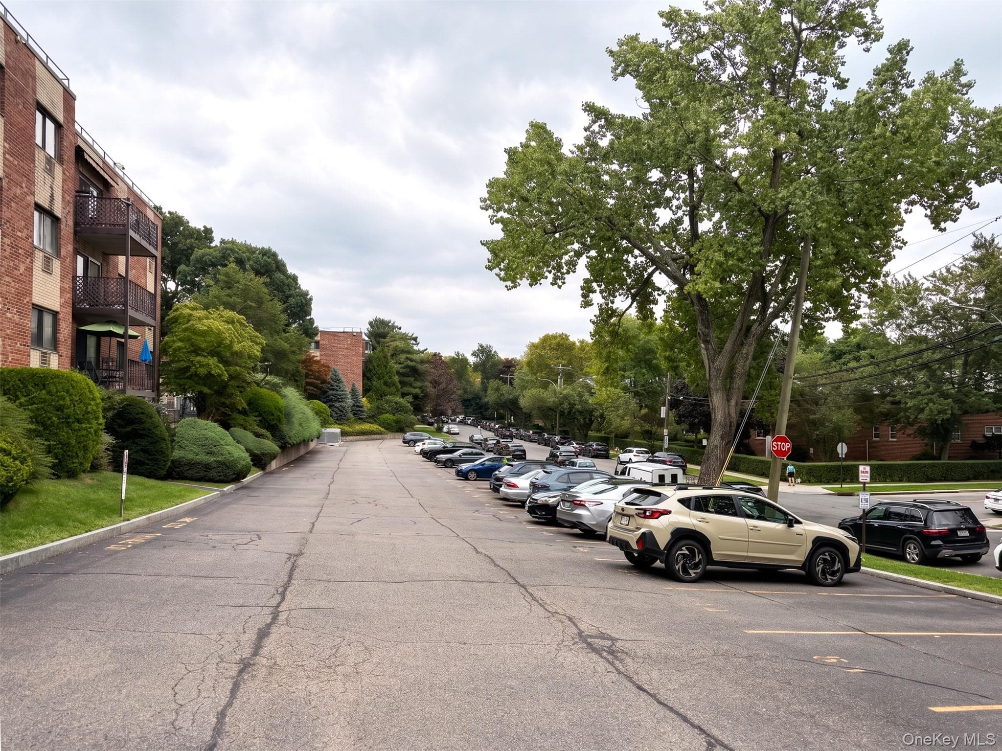 115 Dehaven Drive Unit: 205 thumbnail 14