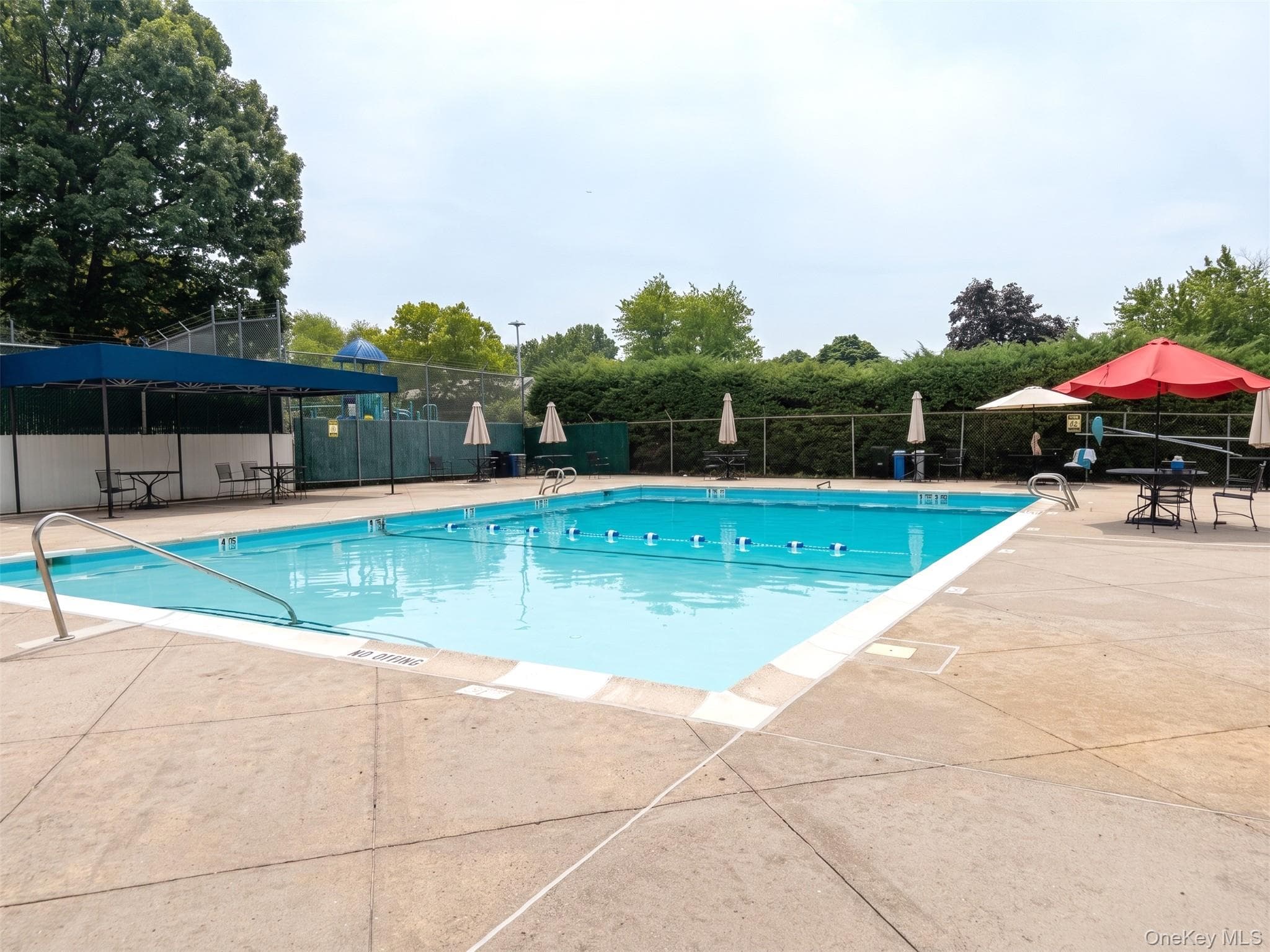 115 Dehaven Drive Unit: 205 thumbnail 12