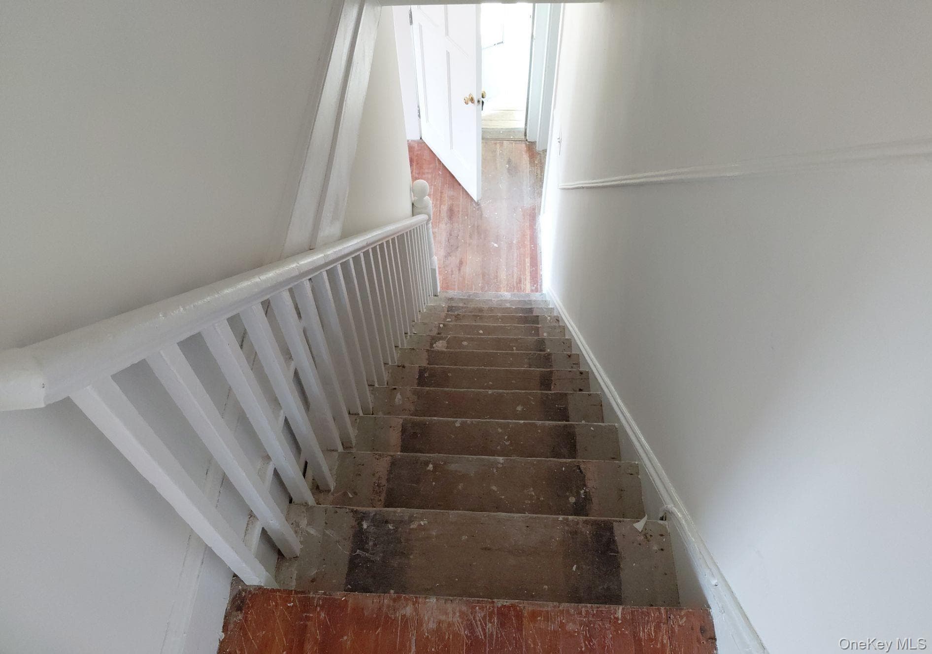 20 Rome Avenue thumbnail 14