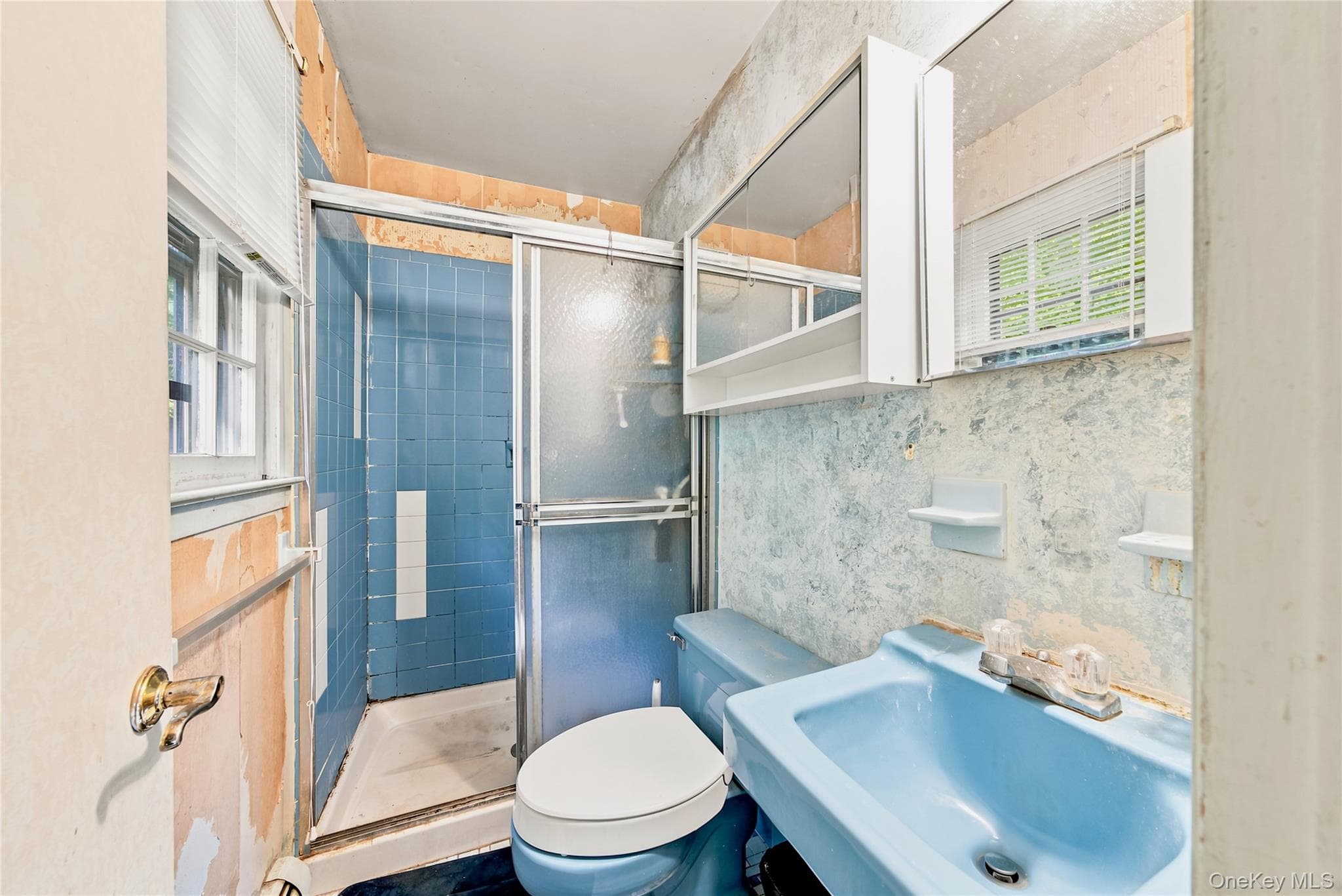 3 Dussenbury Drive thumbnail 13