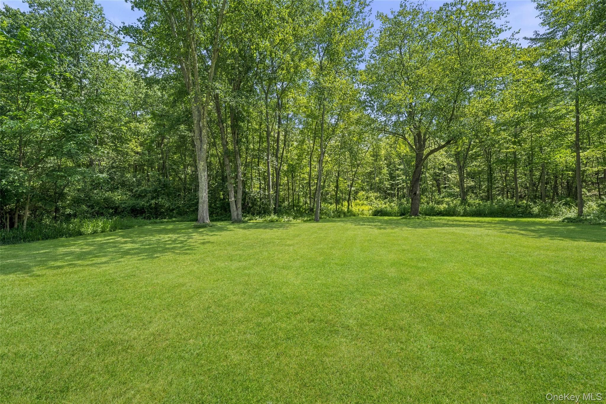 228 W Mombasha Road thumbnail 43