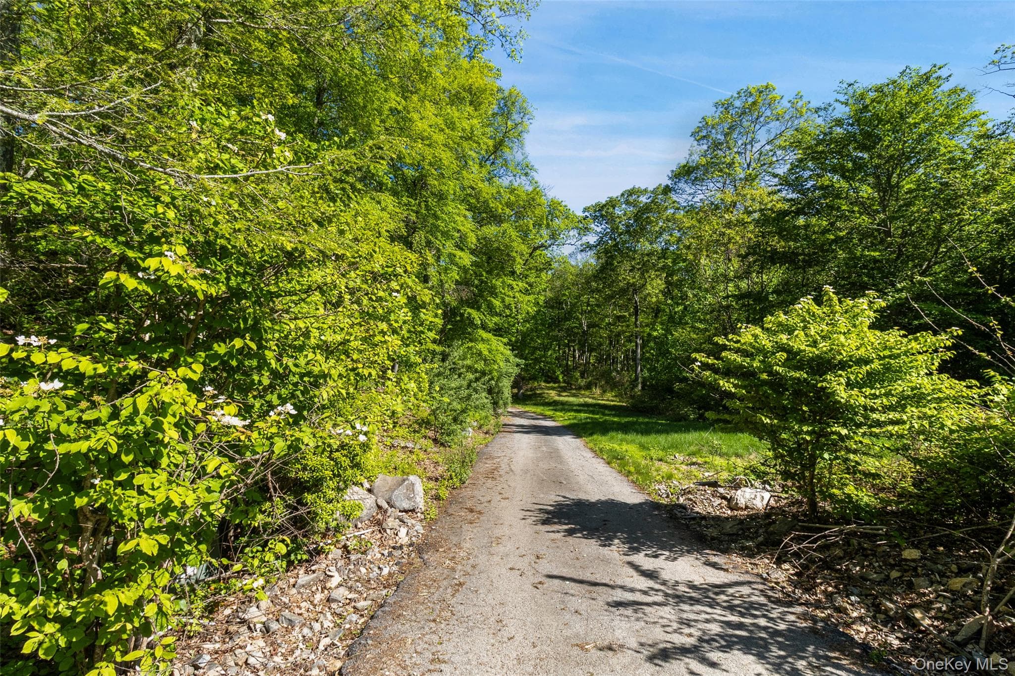 371-383 Pea Pond Road thumbnail 8