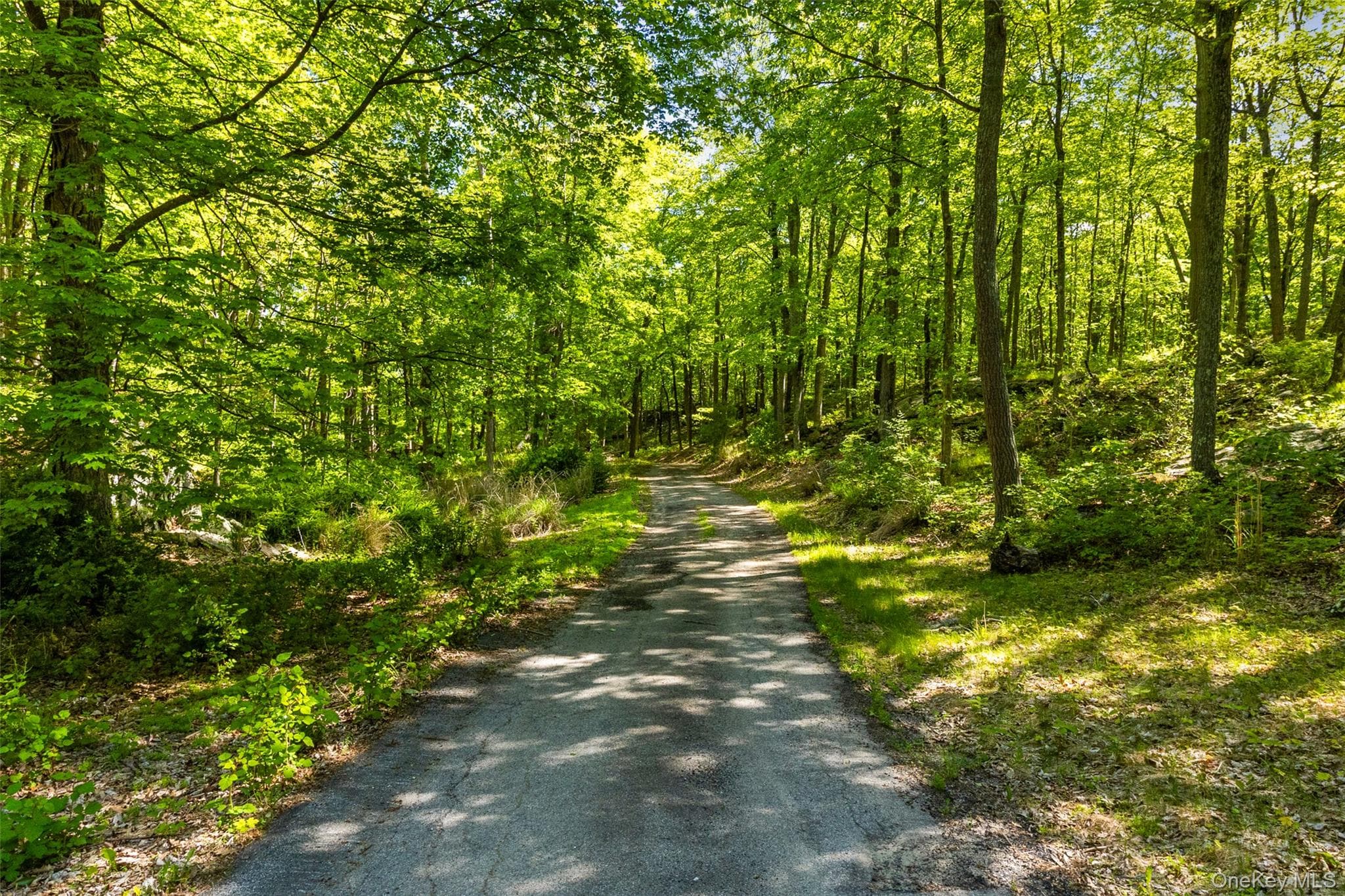 371-383 Pea Pond Road thumbnail 9