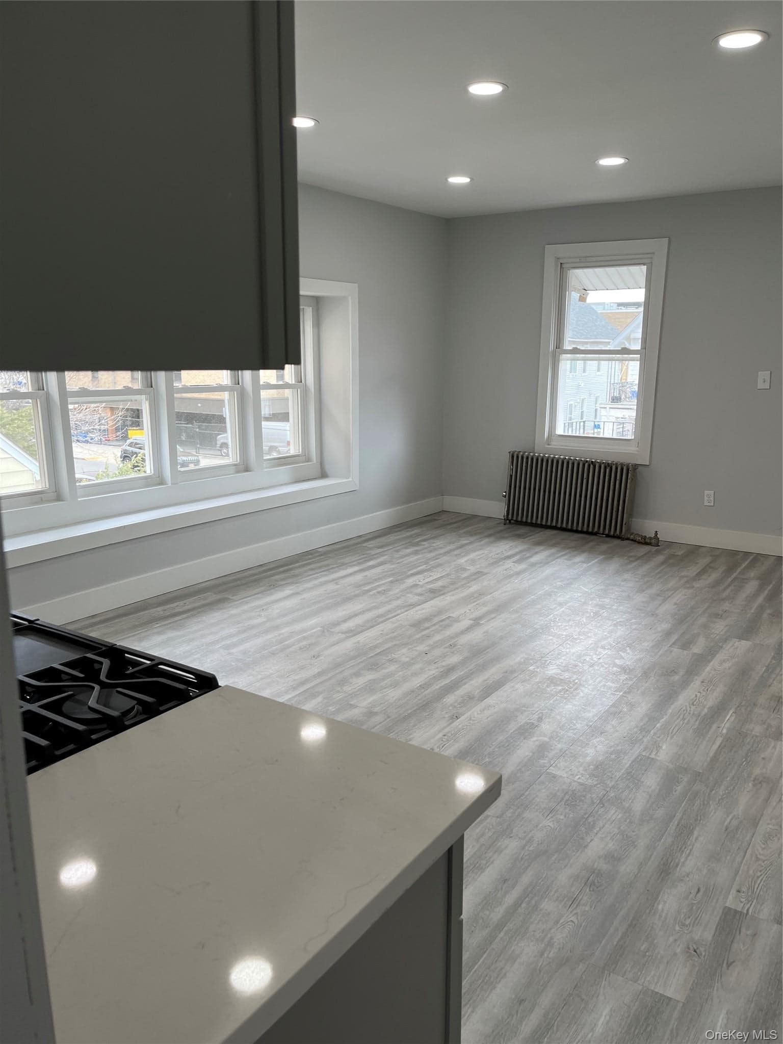 121 W Chester Street thumbnail 30